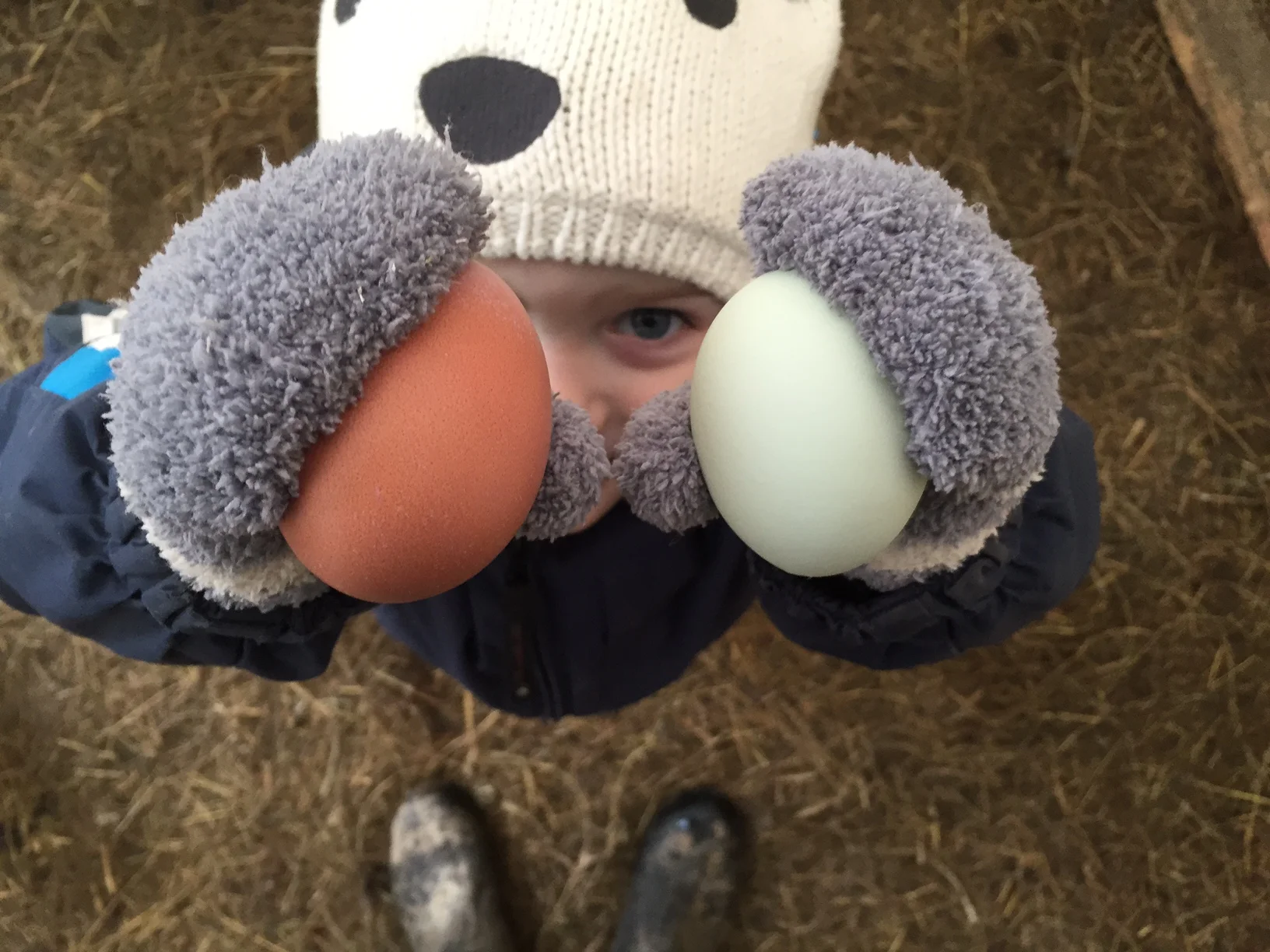 Sunny with a chance of meatballs