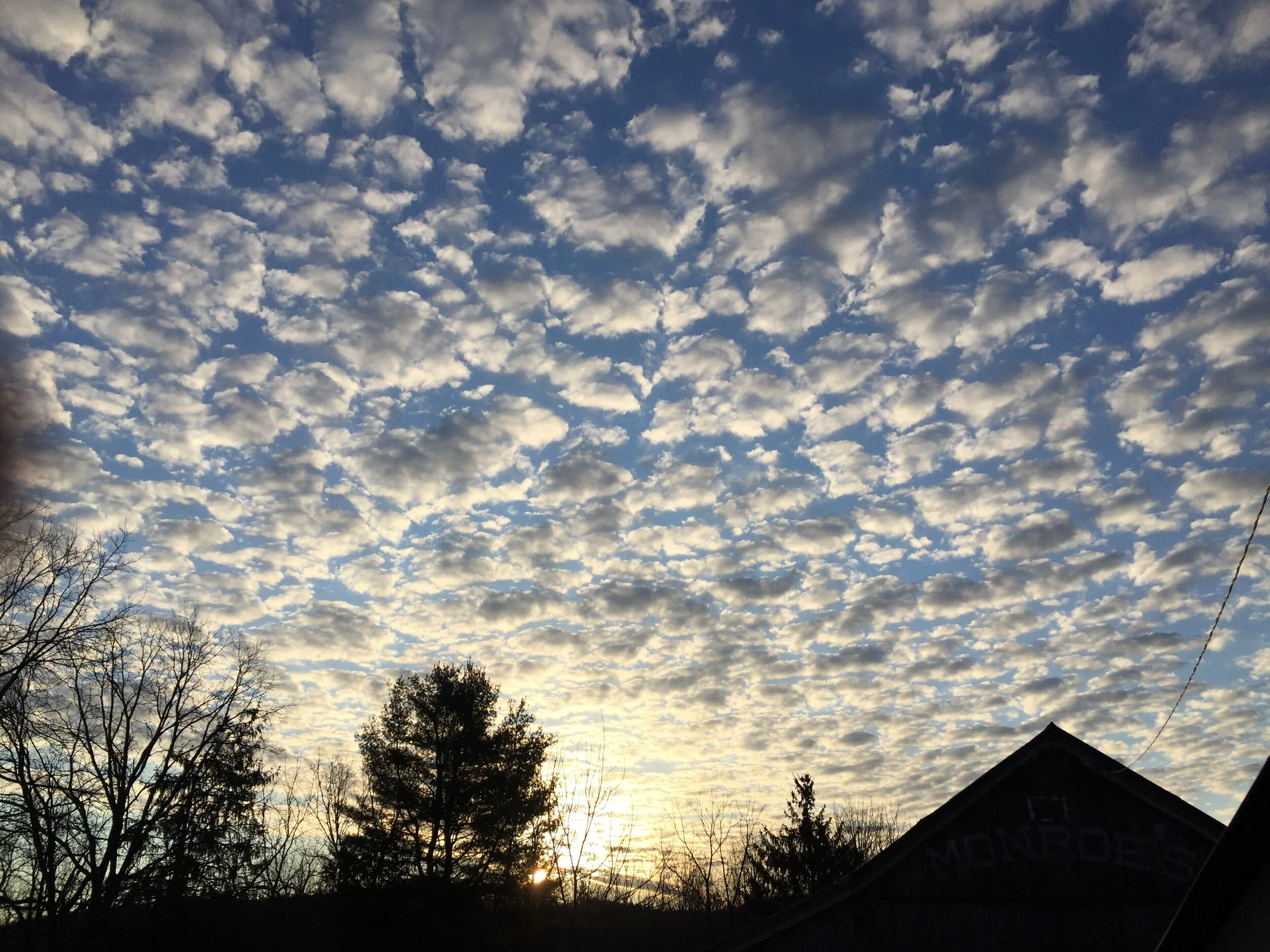 Pantries and Pandemics