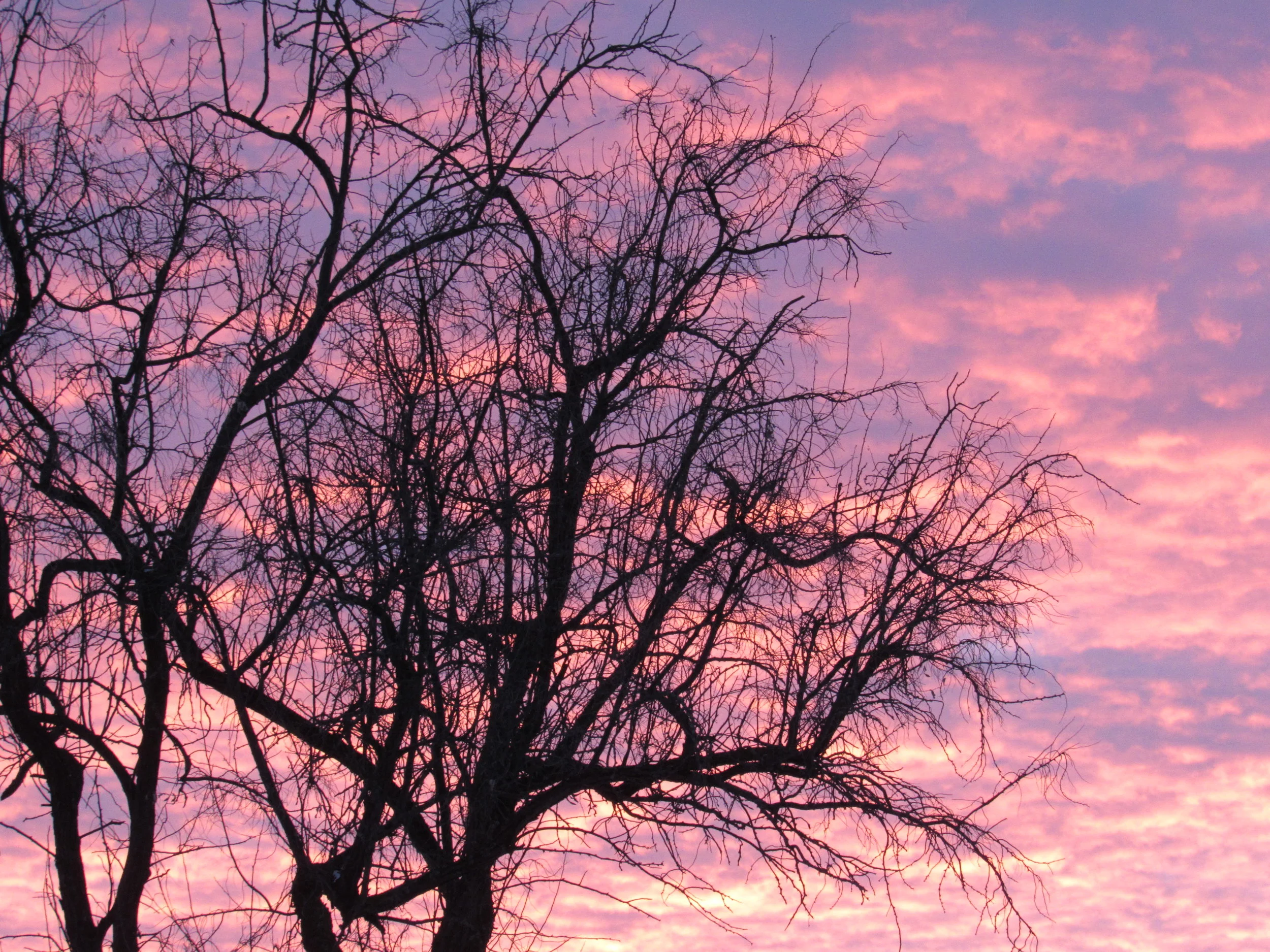 Sunset011718-1.jpg