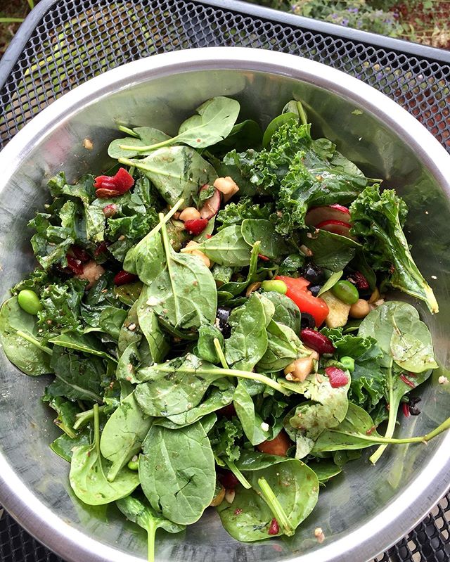 When your body craves all the veggies, eat them!!! 🥬🍅🥒 This morning I woke up with the most debilitating migraine I&rsquo;ve had in a long time.  I&rsquo;ve been pretty lucky lately with my migraines not getting them as often but the barometric pr