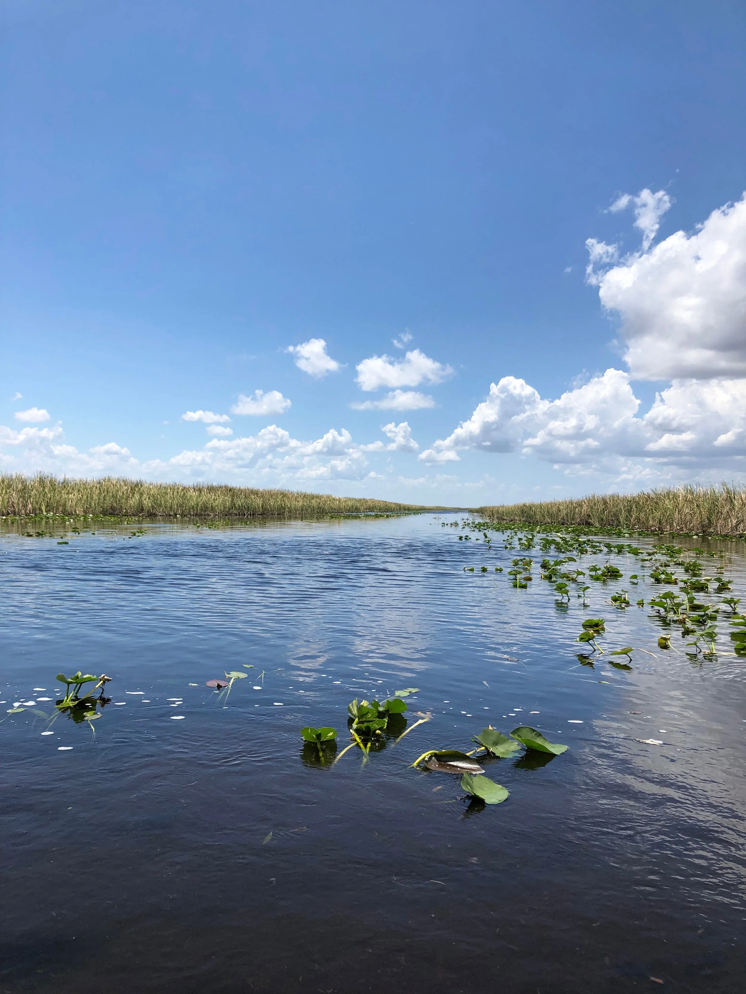 The Day I Decided To Throw Myself A Pity Party