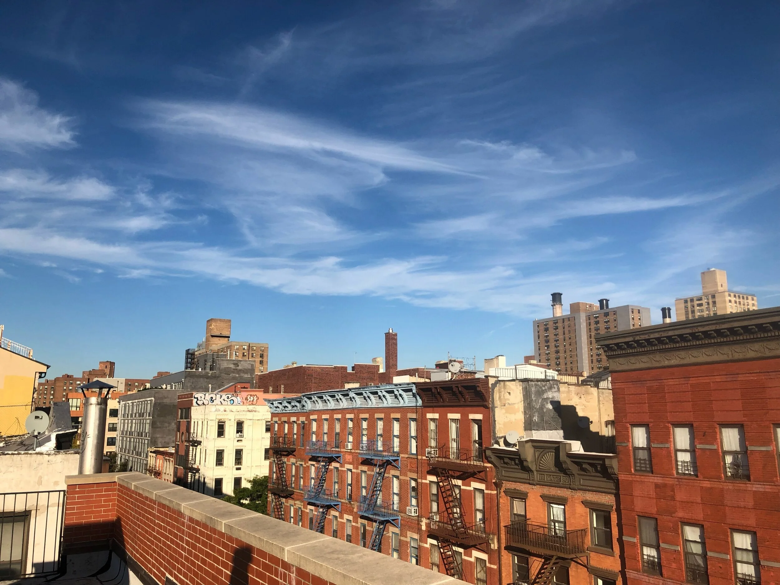 IMG_3970.jpeg