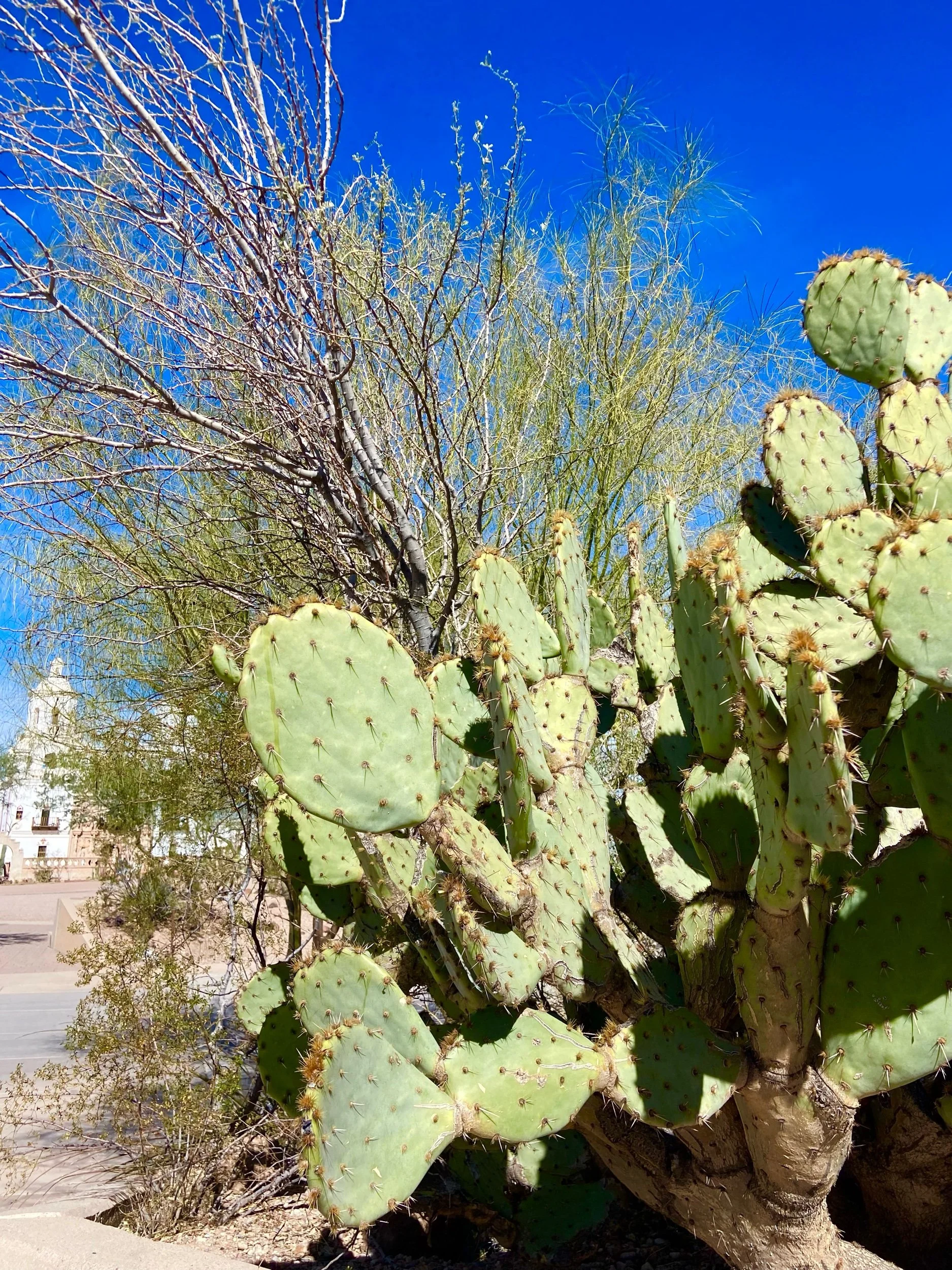 12 Minute Rides With A Story