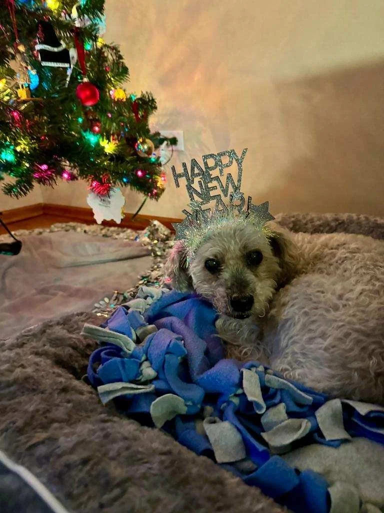 A NEW TRIP AROUND THE SUN ☀️