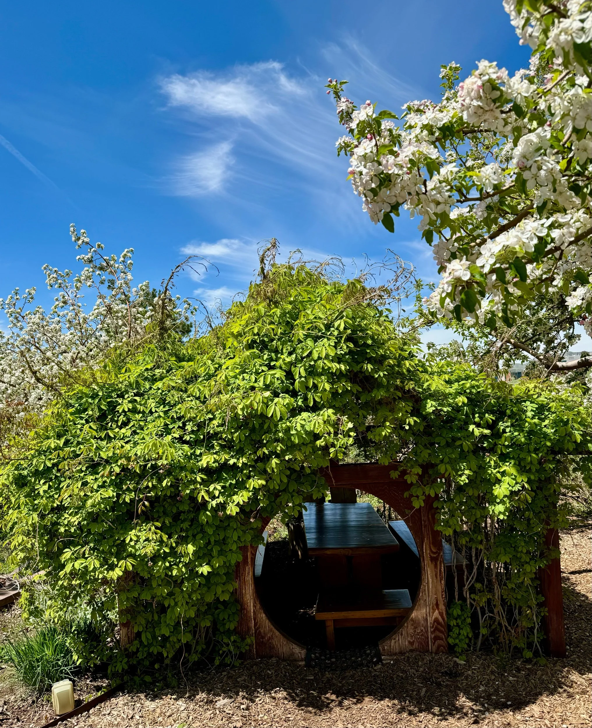 2024 Journal Pages 🌻