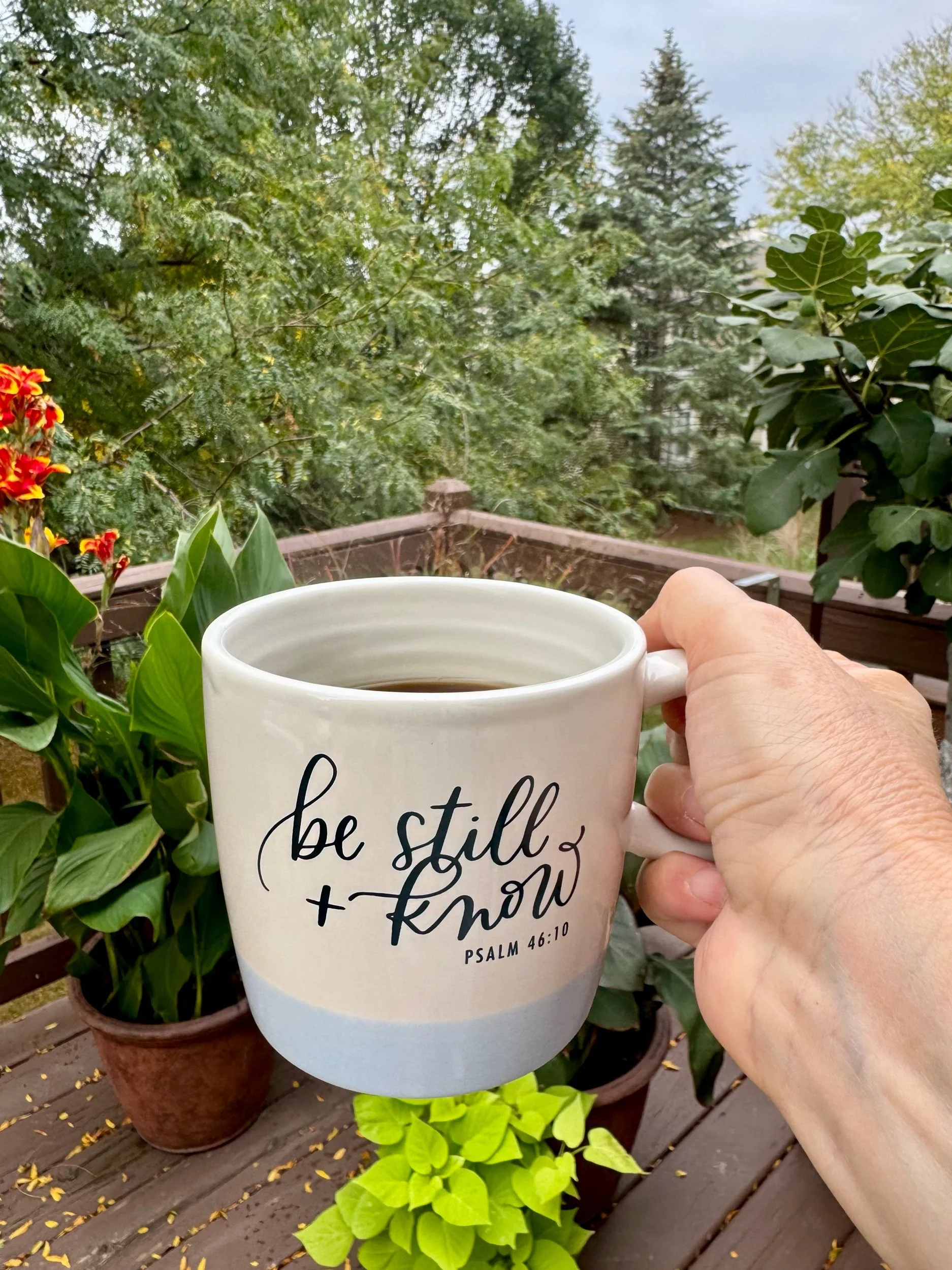 Be Still — A Morning Reflection on Psalm 46:10