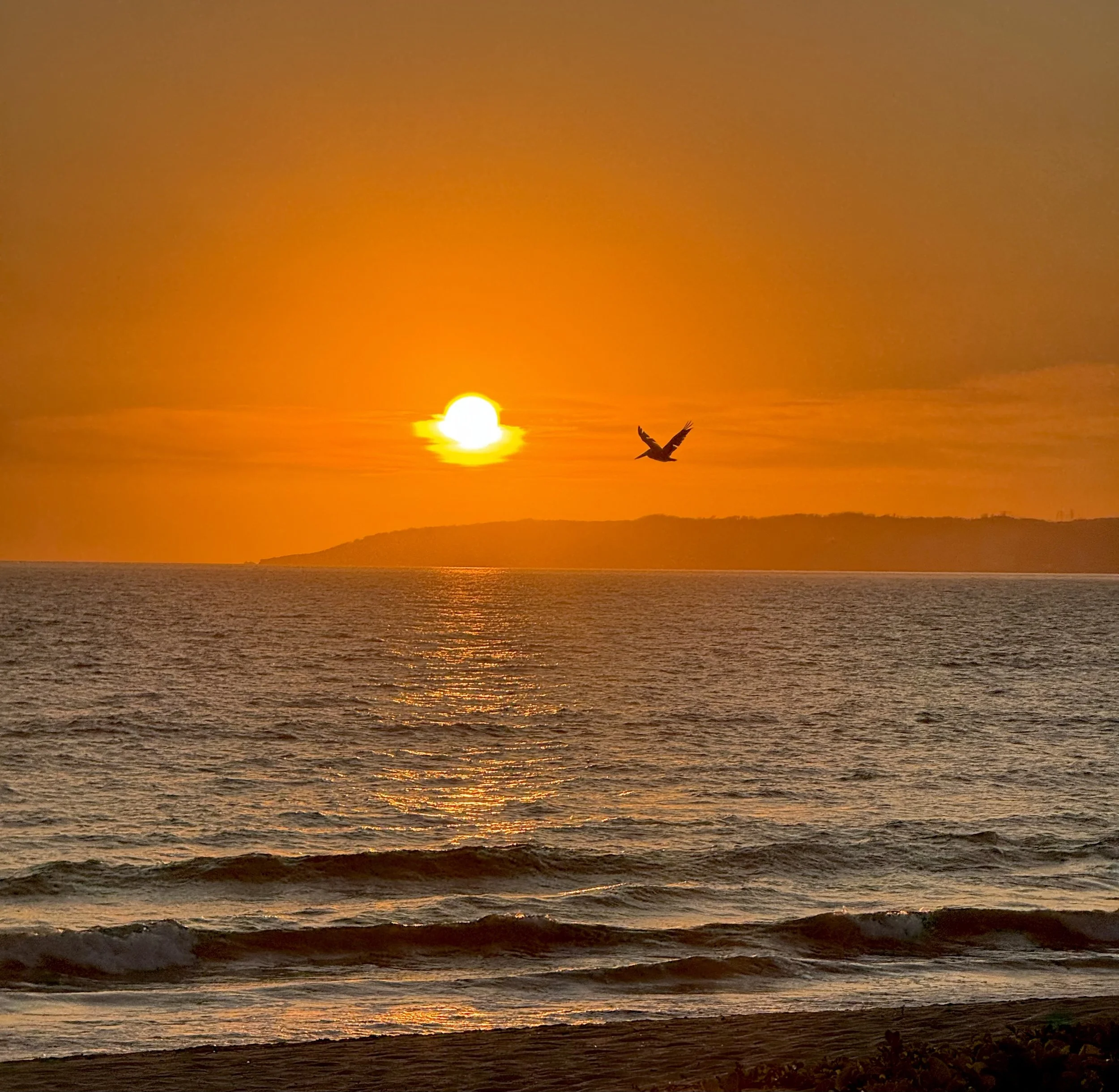 Sunshine, Salty Air, and Unforgettable Days in Puerto Vallarta