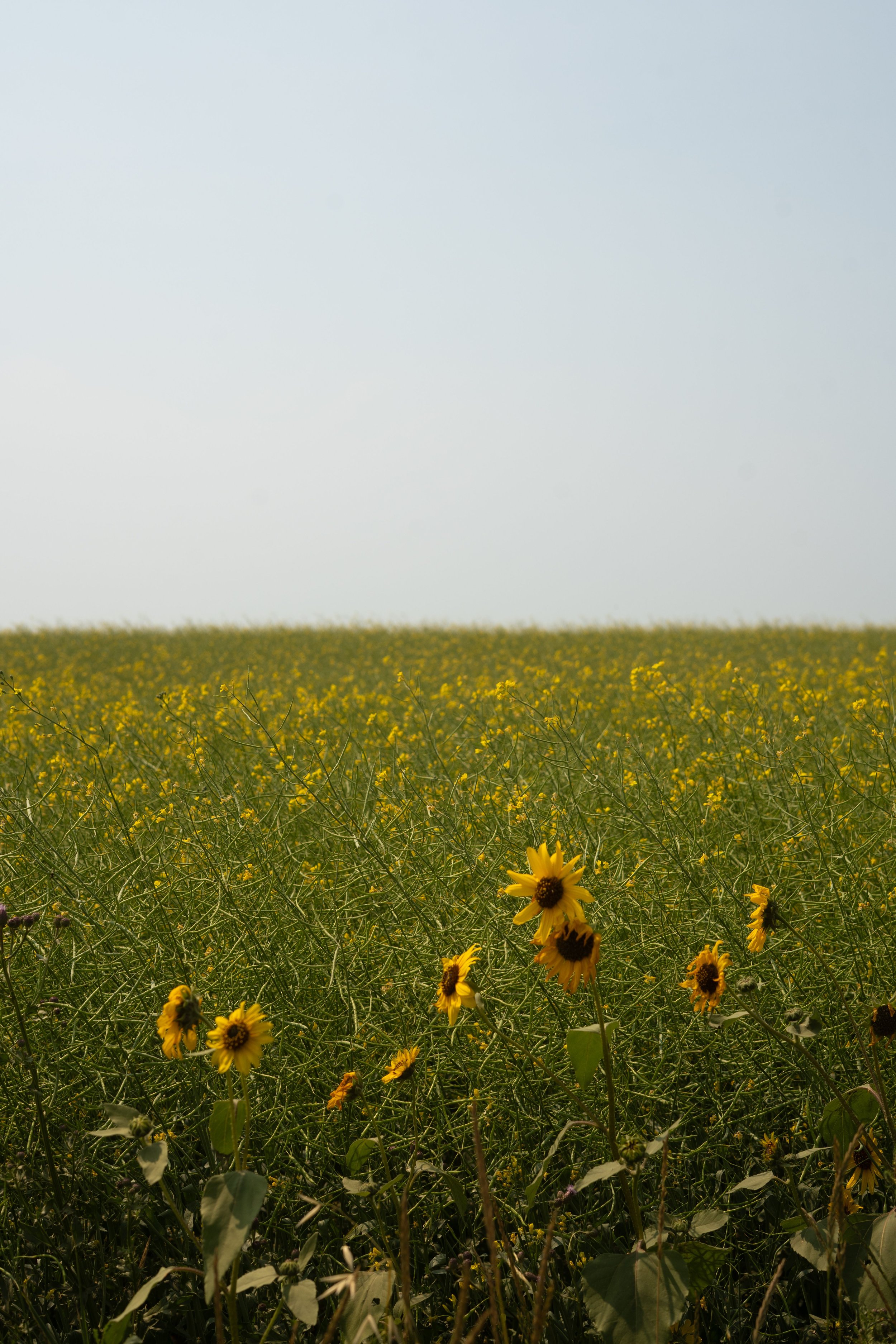 When Vulnerability Is Met with Silence