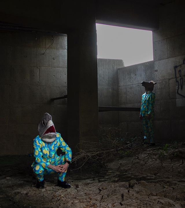 New project @bonelessshark
Link in bio, www.benrigney.com/blog/bonelessshark