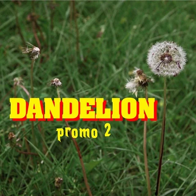 Check out my video page for my latest film work. Both Dandelion promos and a few shorts are up there.
www.BenRigney.com/video,
Link in bio