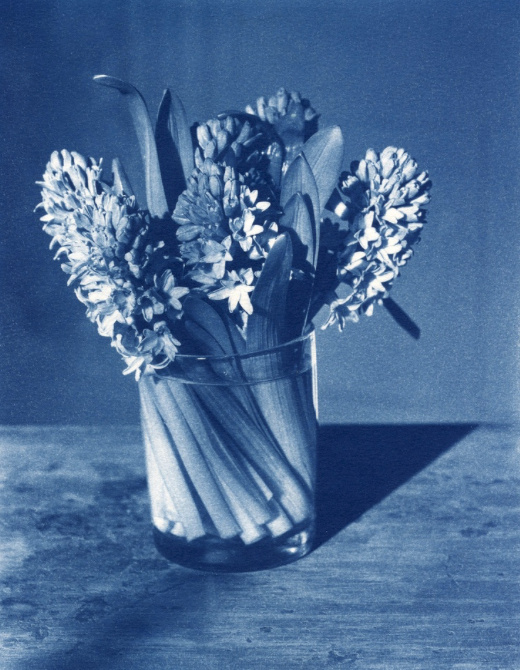 Photograph by John Dugdale.