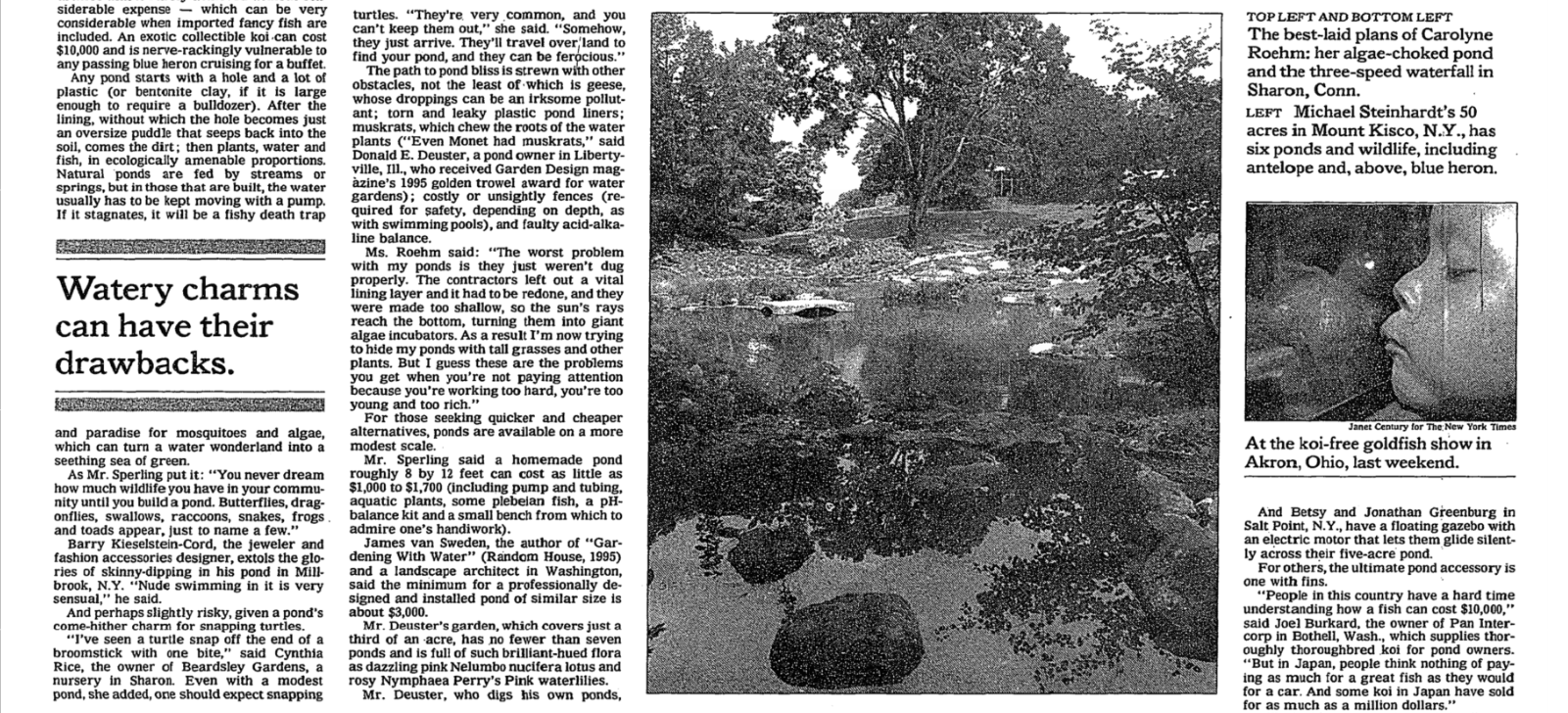 Pond 3.png