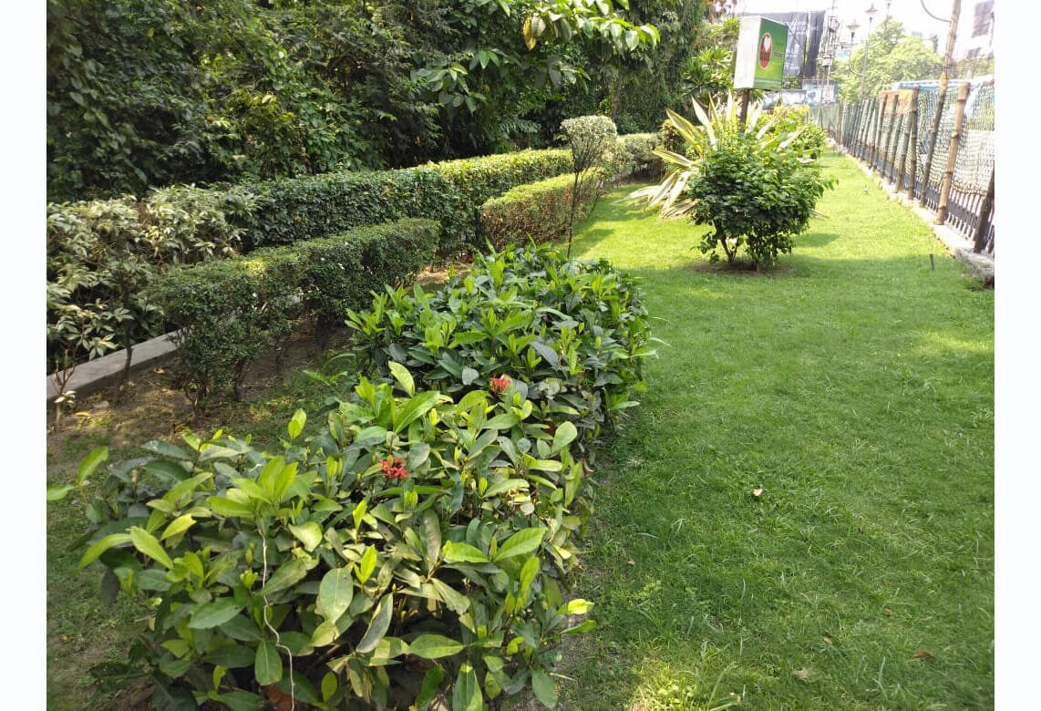 GARDEN 01.jpg