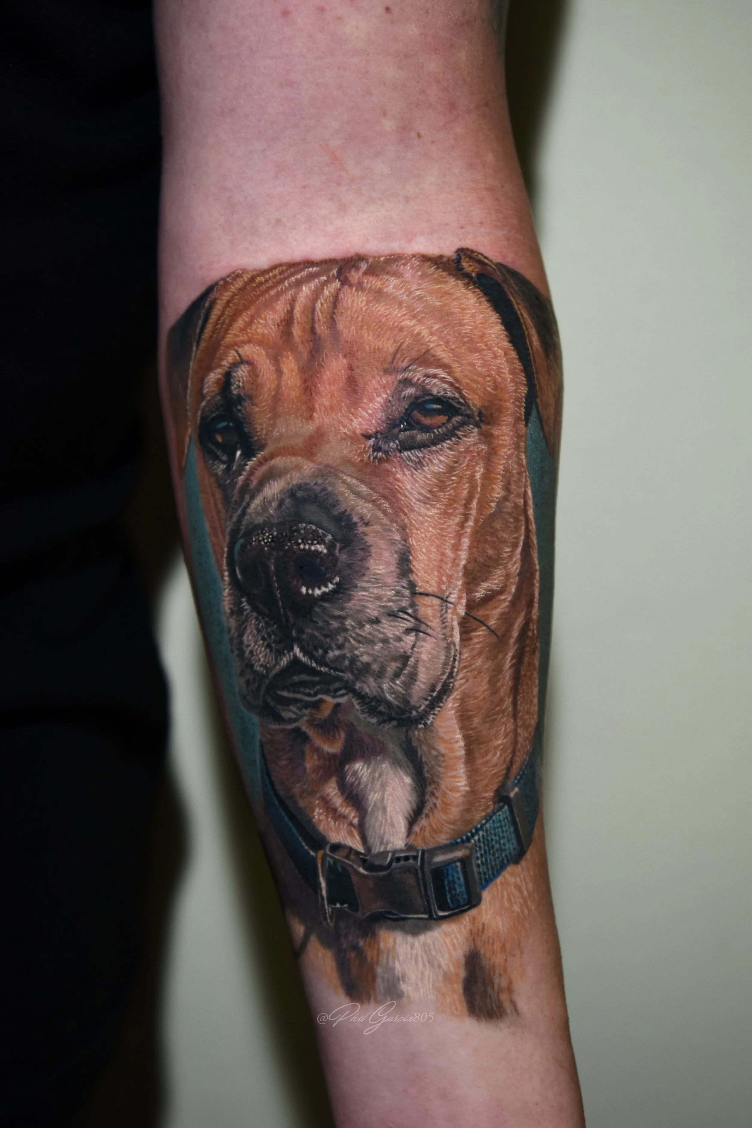 Rick Moseley dog portrait.jpg
