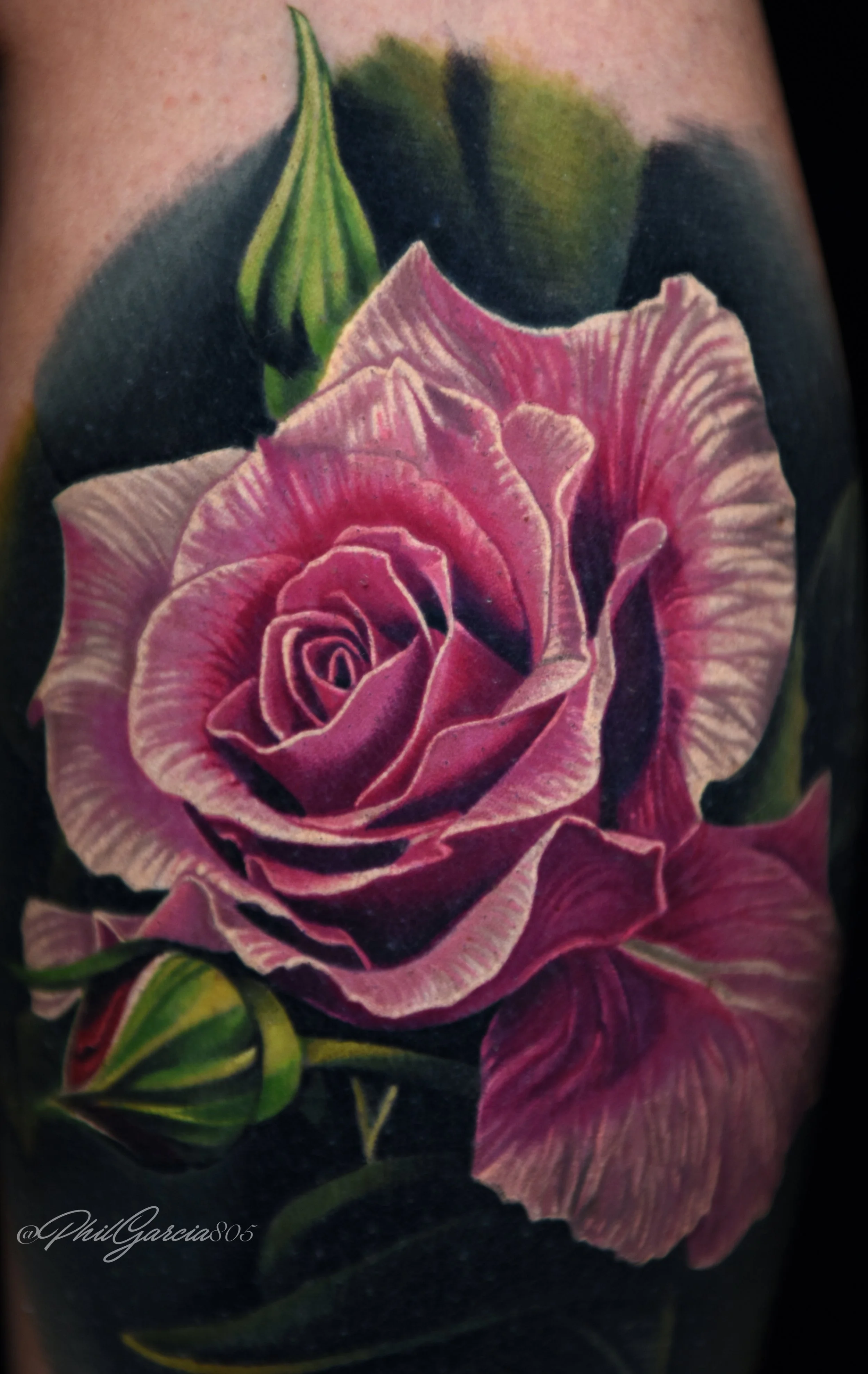 Wife pink rose healed 1.jpg