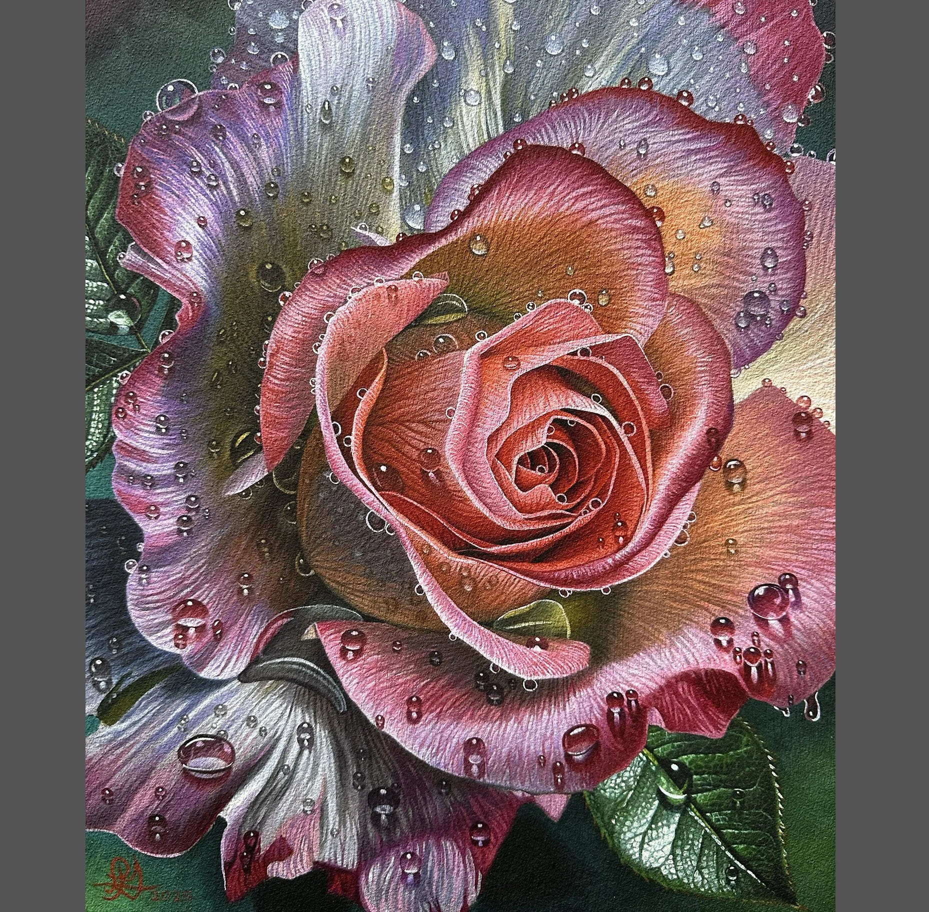 Rose With Droplets