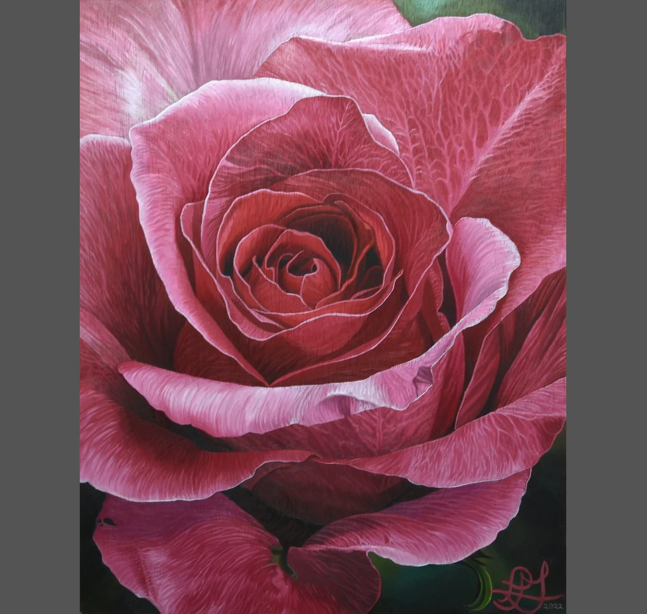 Pink Rose #2
