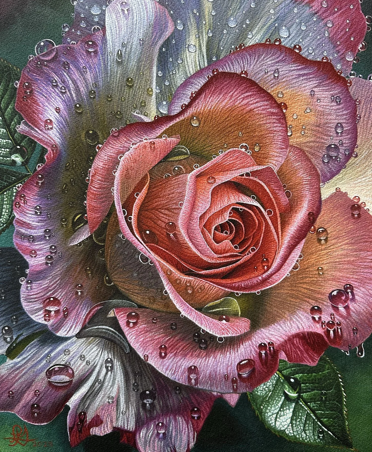 Rose With Droplets