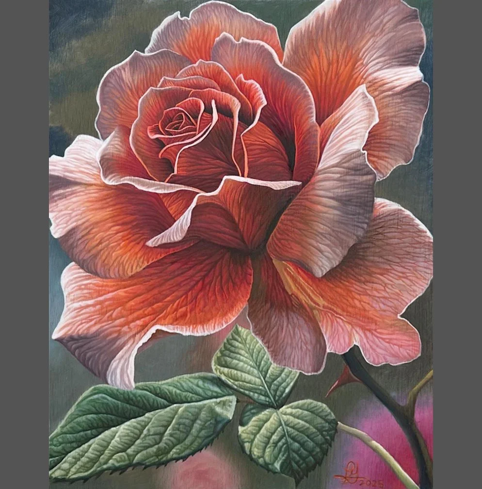 Orange Rose 11"x14" on fine art paper