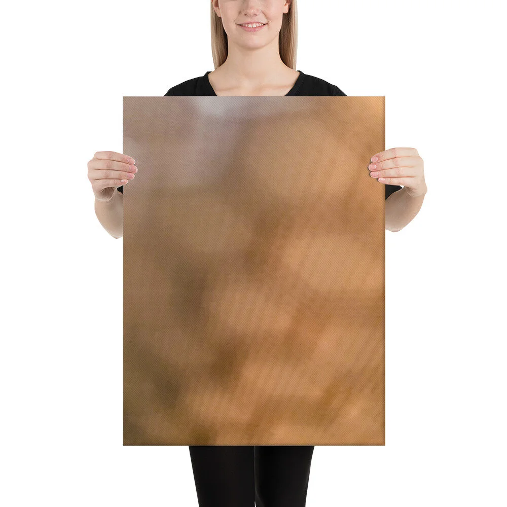 ART004C-CANVAS_mockup_Person_Person_18x24.jpg