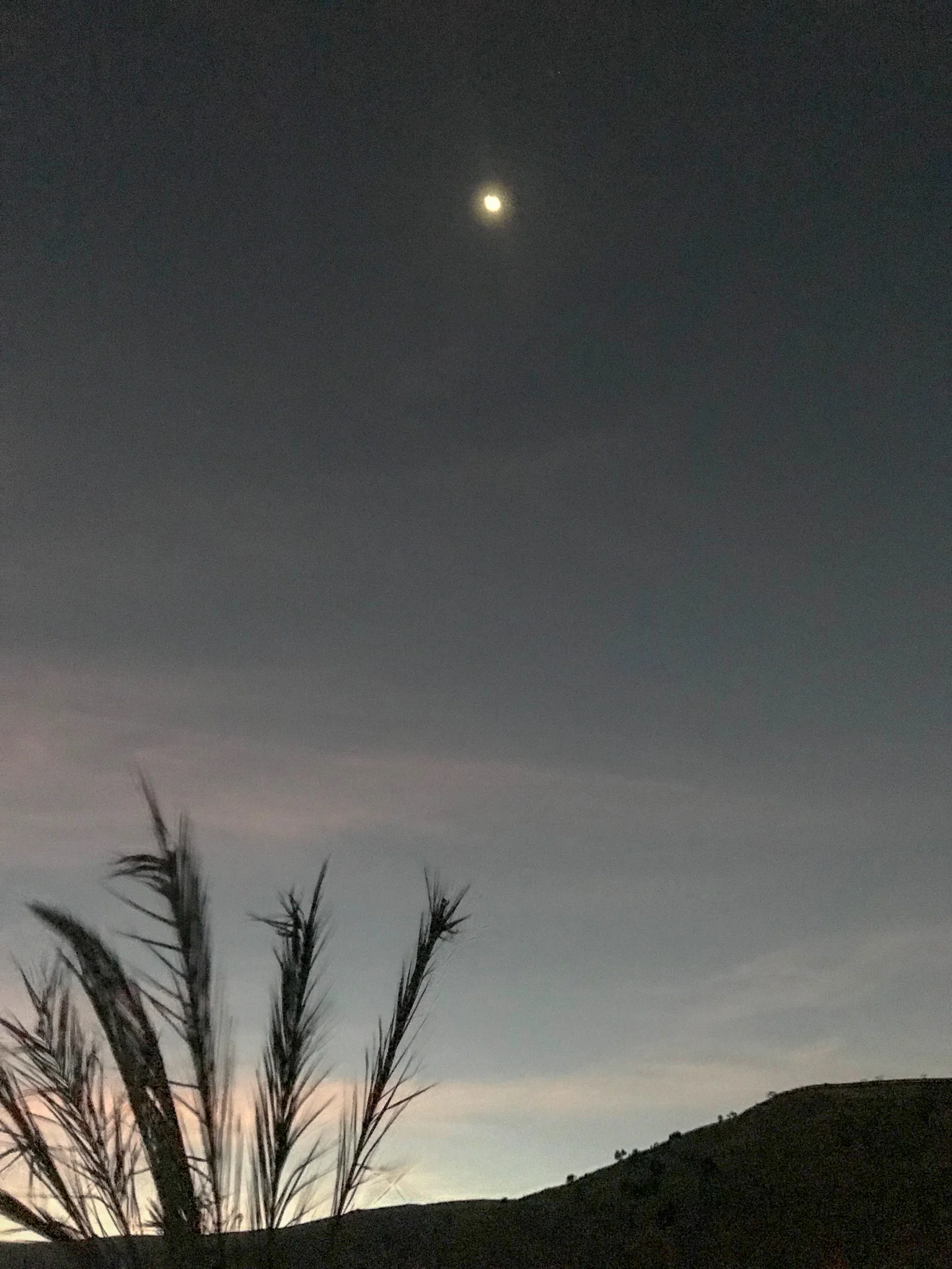 A view of the dessert sky while the sun is trying to crawl to the horizon of Earth and the moon still hanging out.