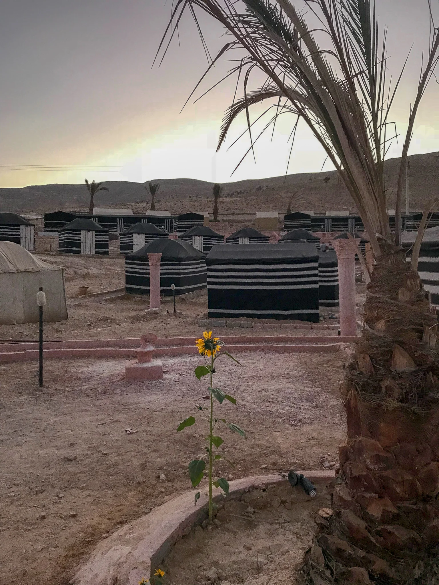 Early morning at the camp.