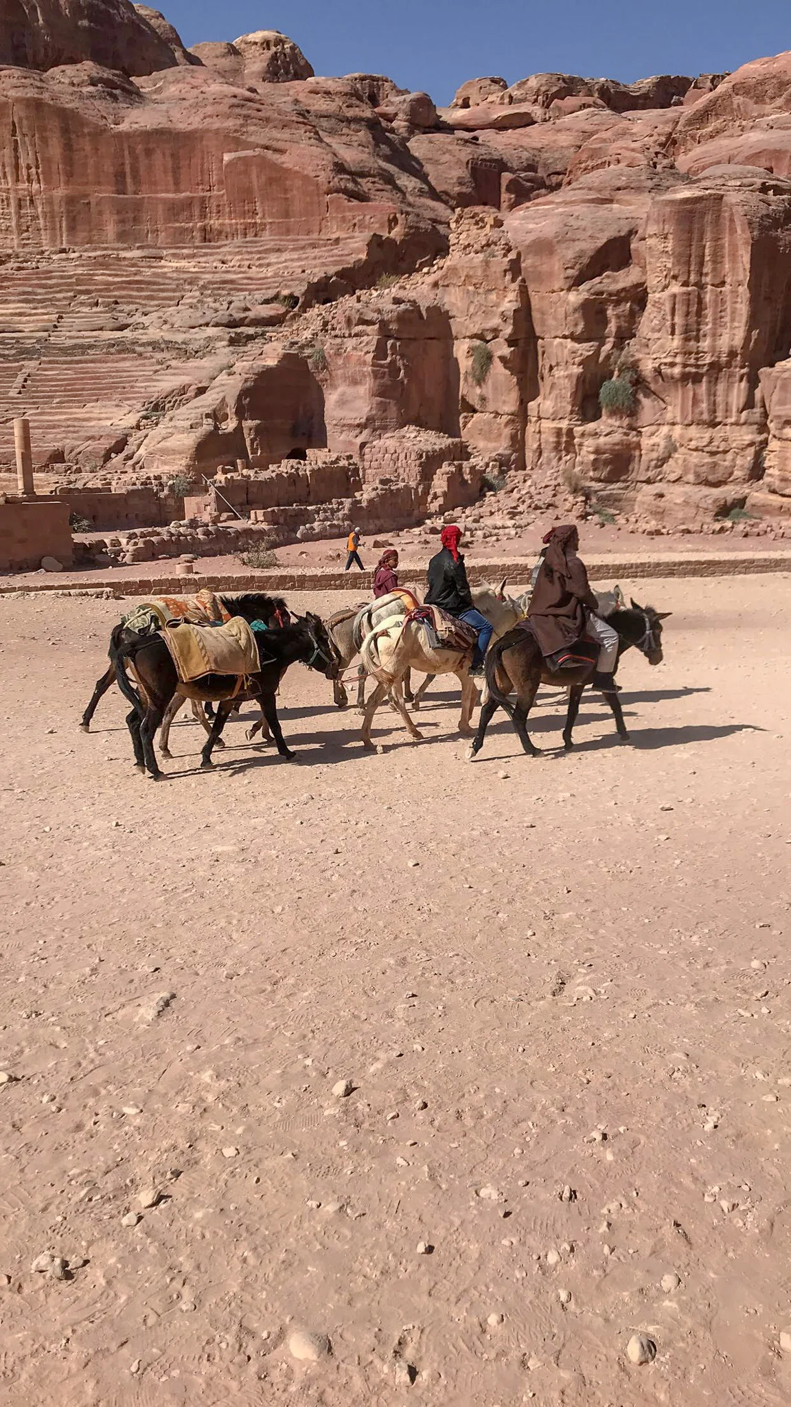 These are people who persistently ask you to ride the donkeys all the way up to the Monastery. Just say NO! The animals are not taken care of and can not bear the load of a human going up the step path.&nbsp;
