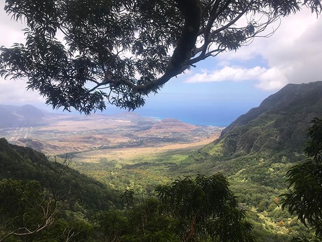 🌿| Kaala 
#Kaala #WaianaeValley #Waianae#Oahu #Hawaii #Honolulu #JurassicParkVibes #WaianaeKaiForestReserve