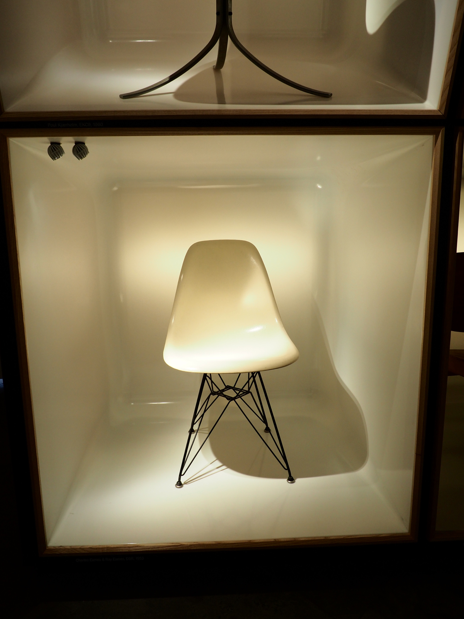 P1010326.jpg