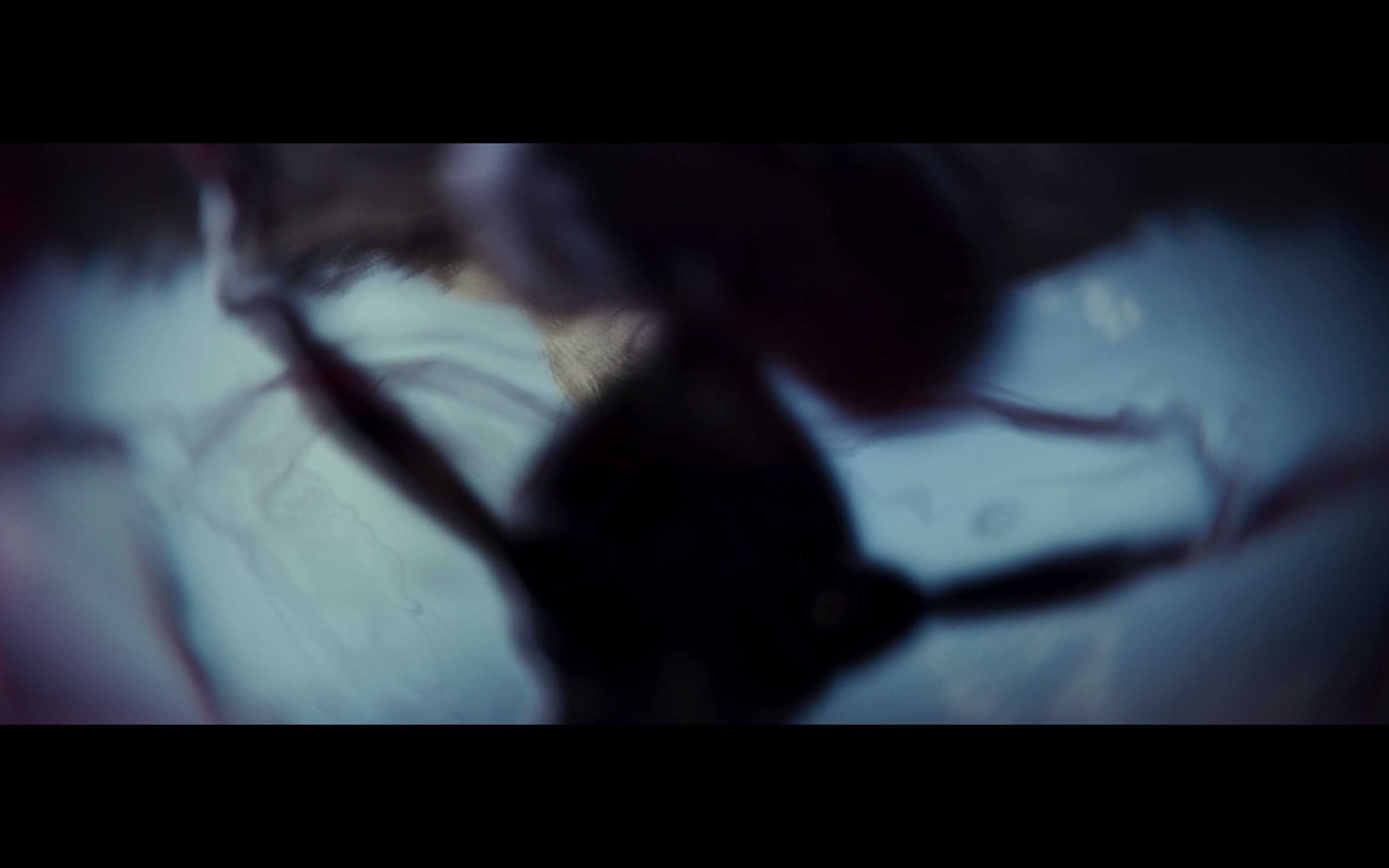Screen Shot 2023-01-30 at 12.21.13 PM.png