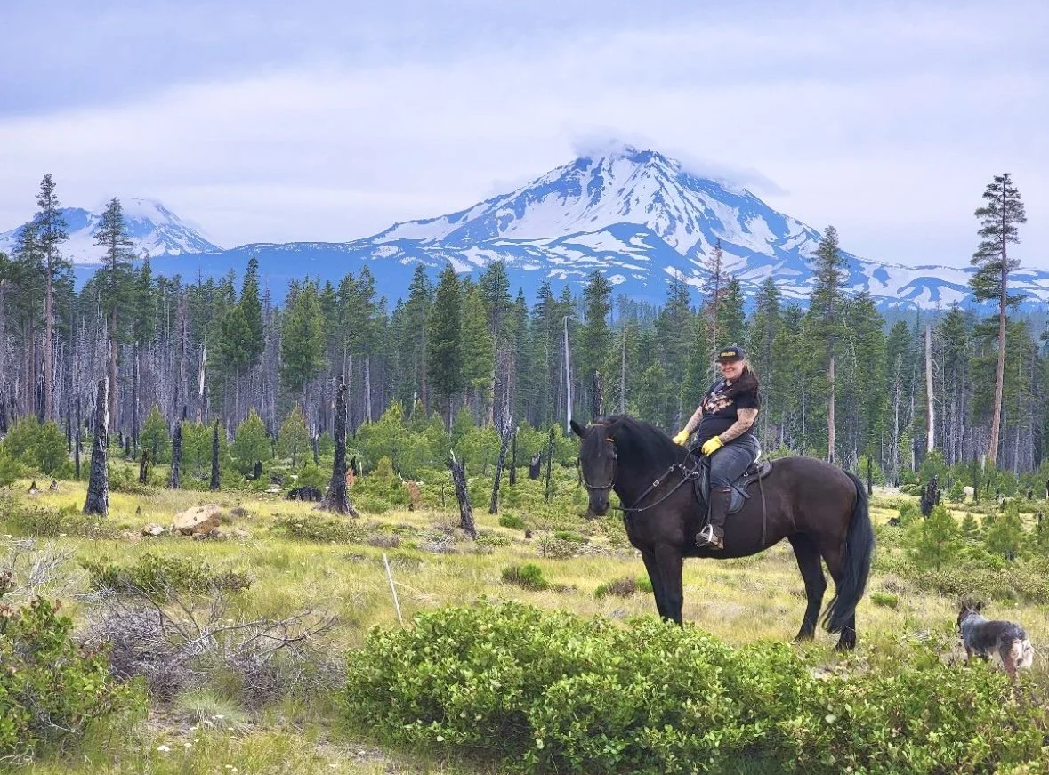 Person riding a black horse in a forested area with snow-capped mountains in the background, and a dog nearby.