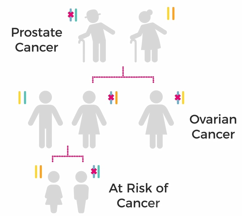 Familial cancer vs hereditary, Familial cancer vs hereditary - Eugenia Yiannakopoulou