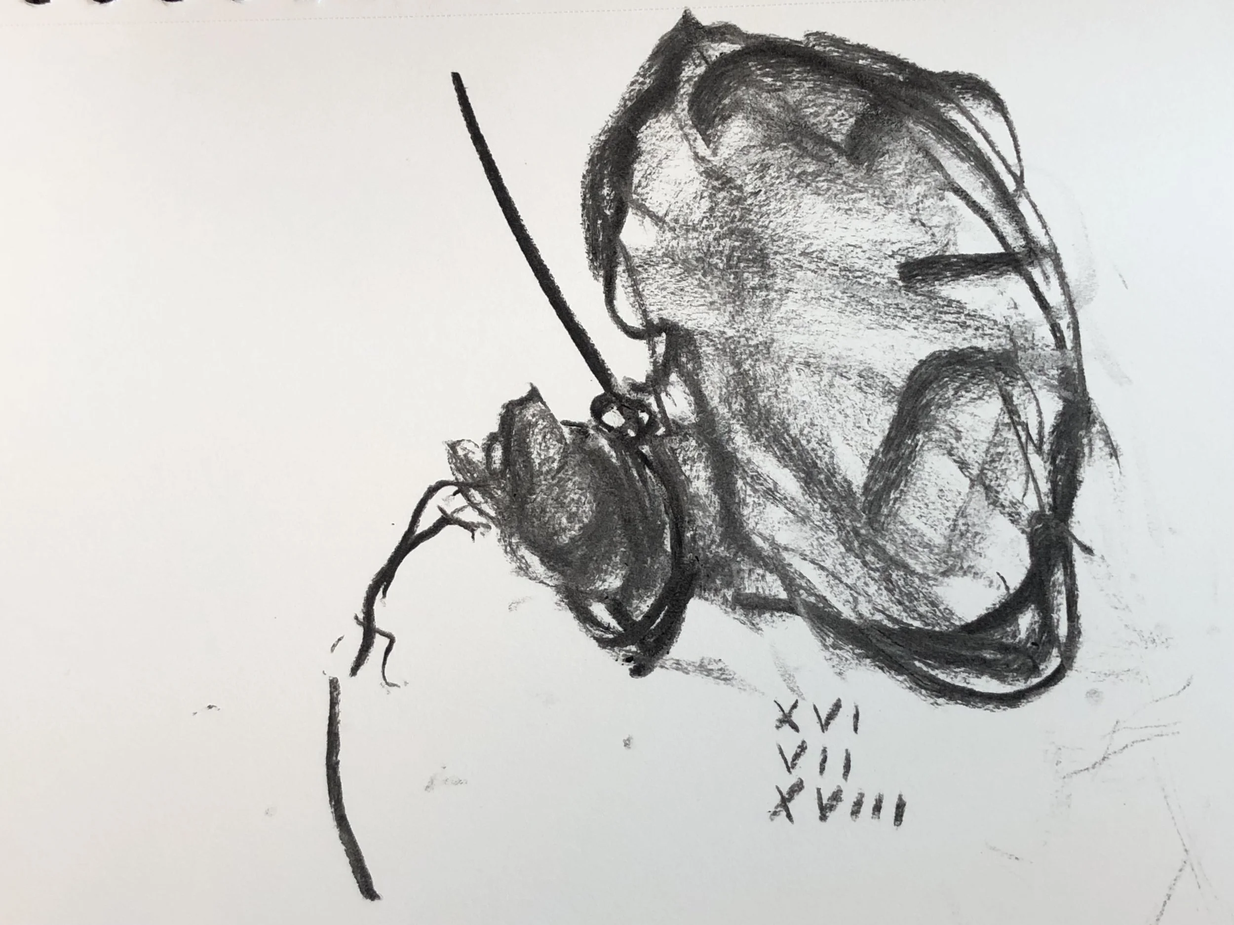 16.07.2018