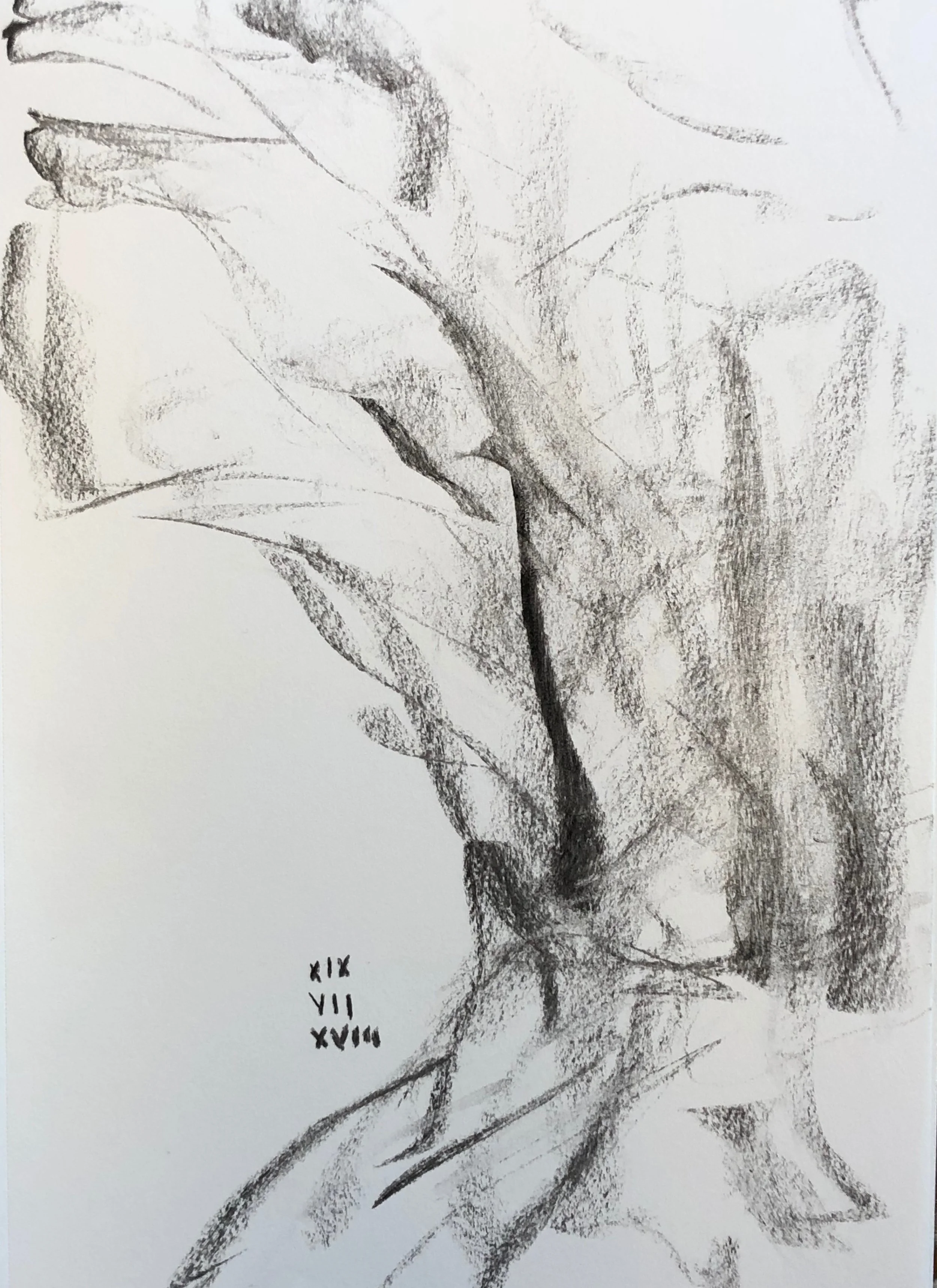19.07.2018