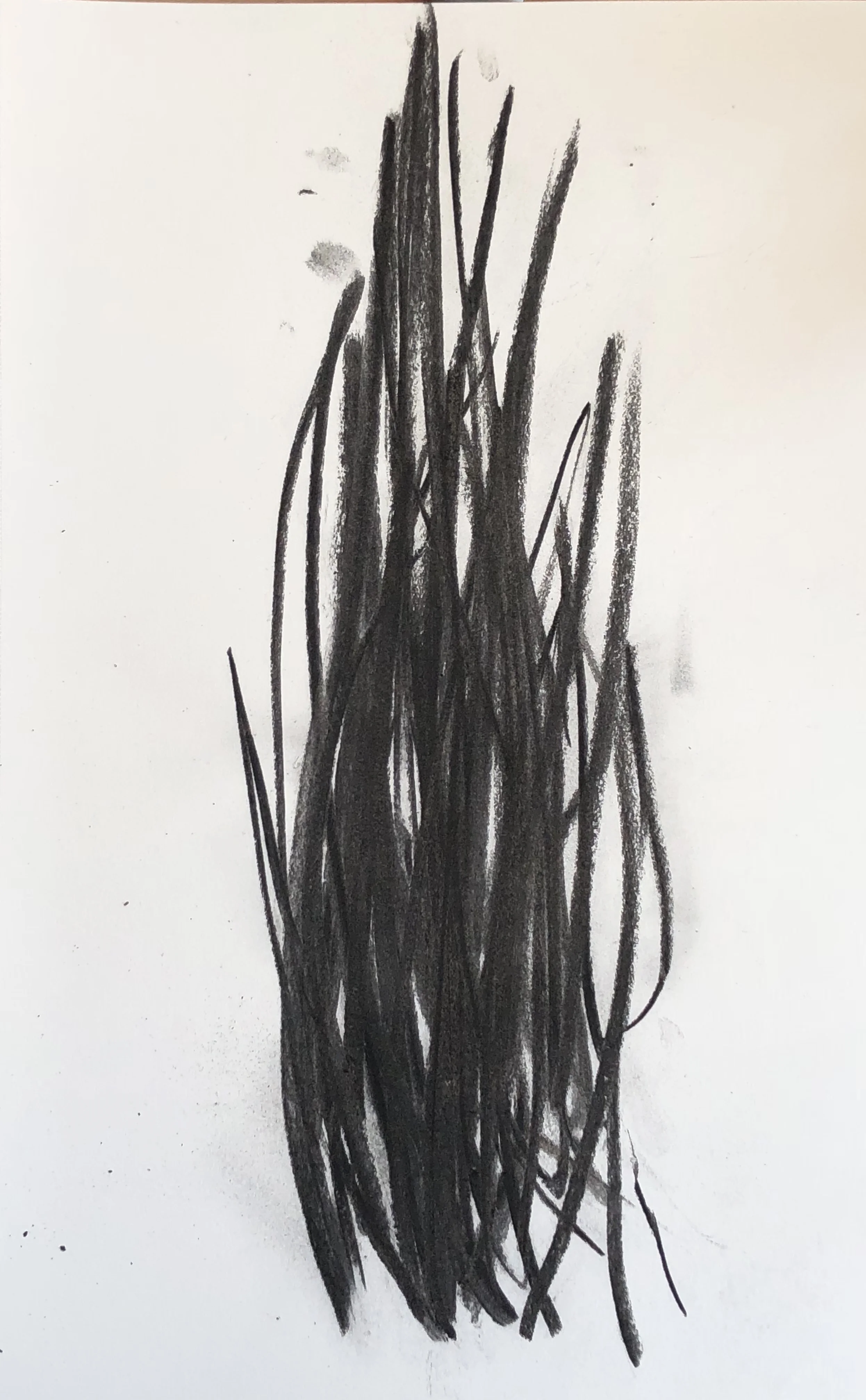 02.08.2018