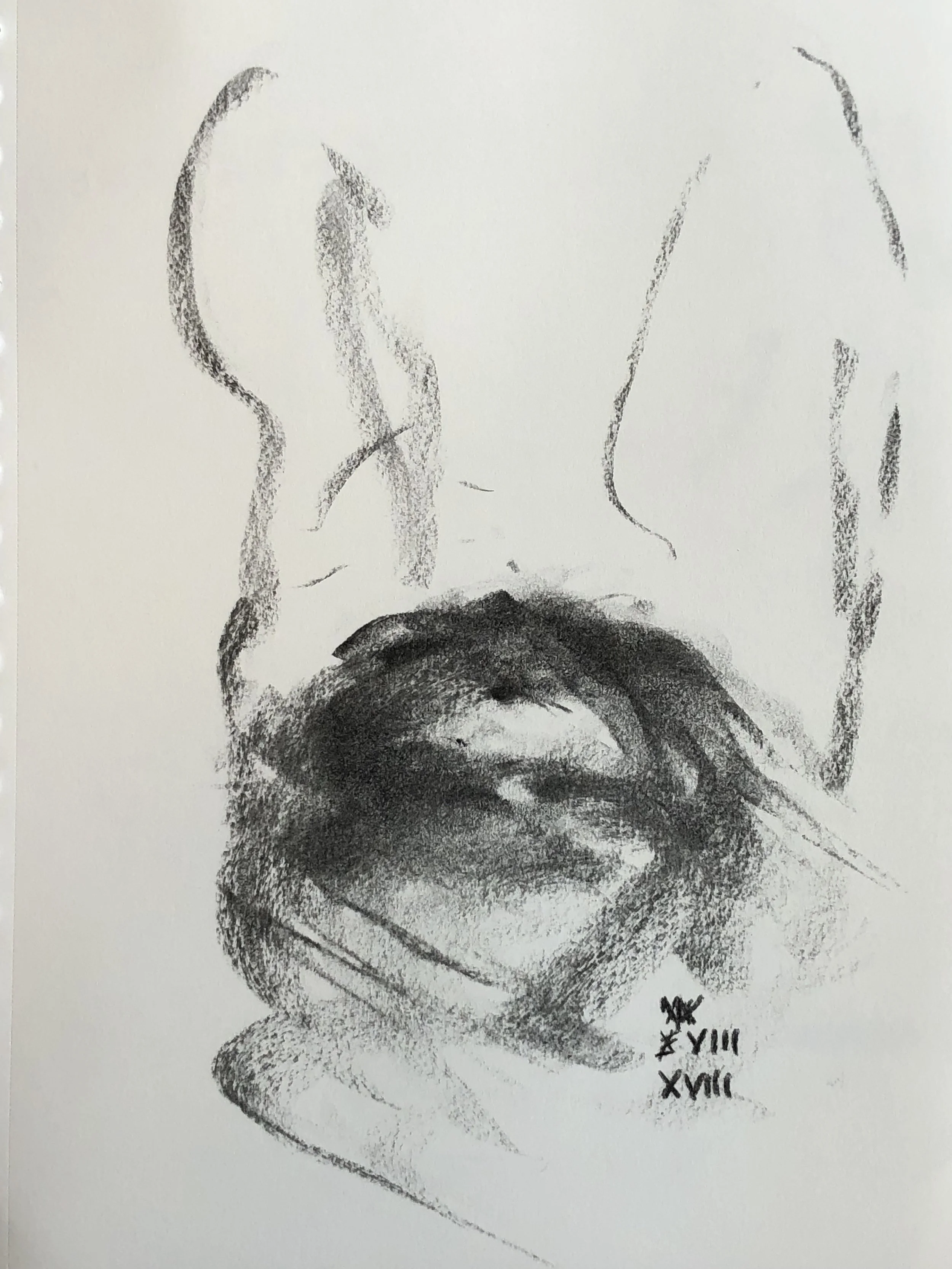 19.08.2018