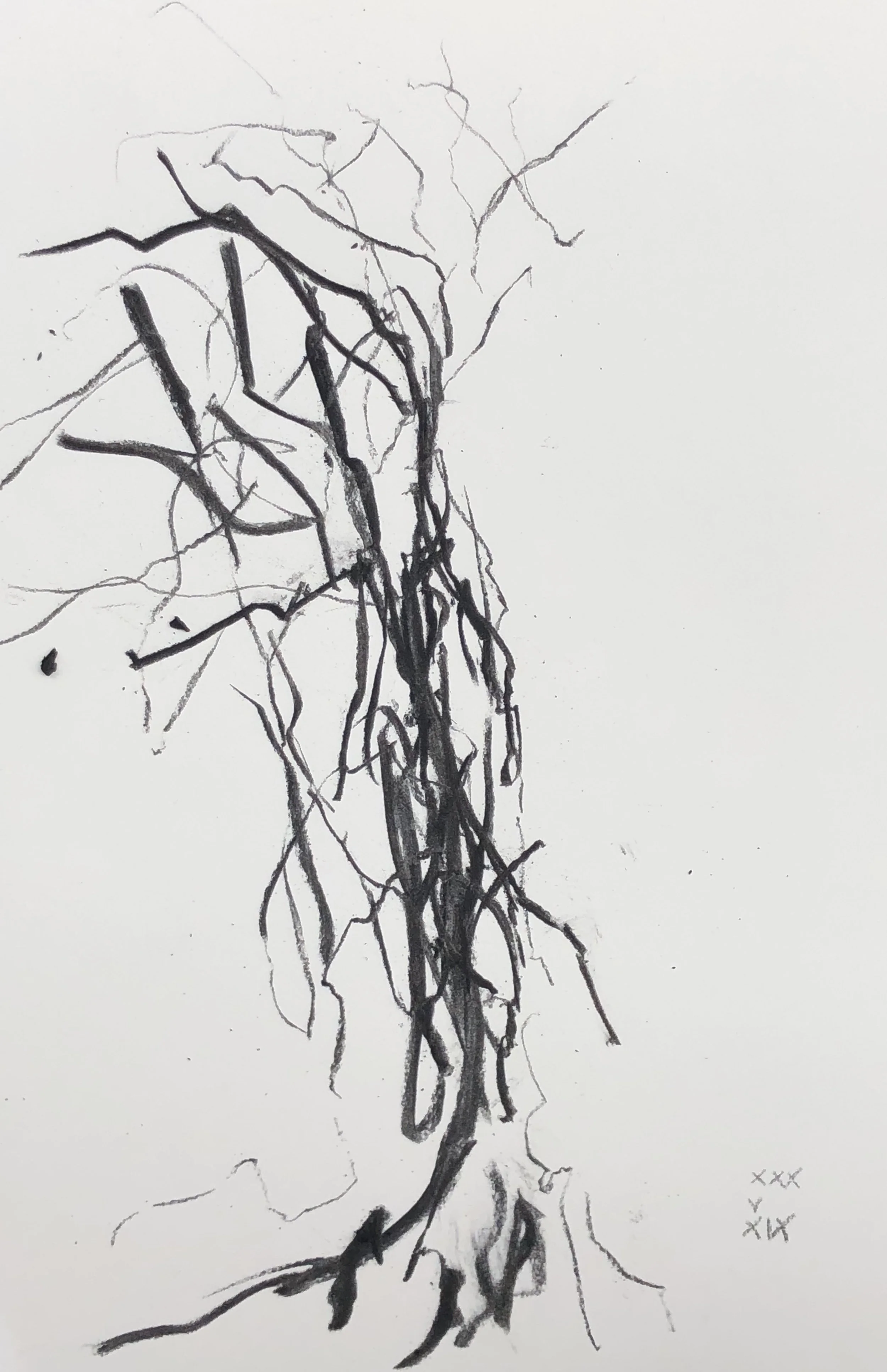 30.05.2019