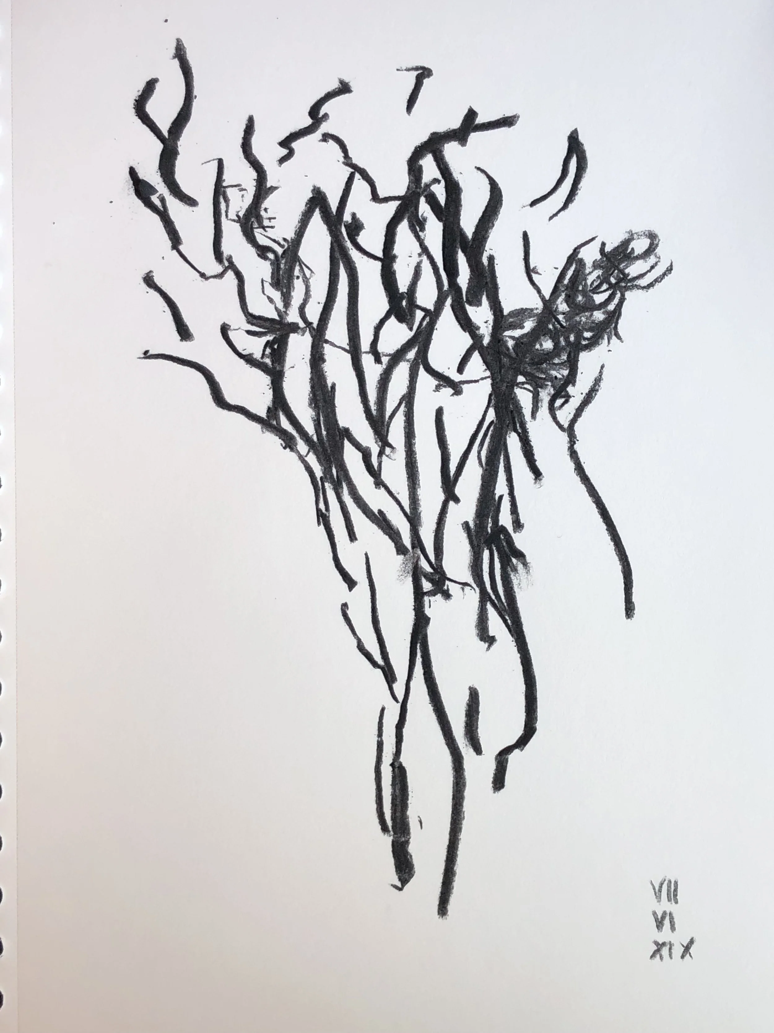 07.06.2019