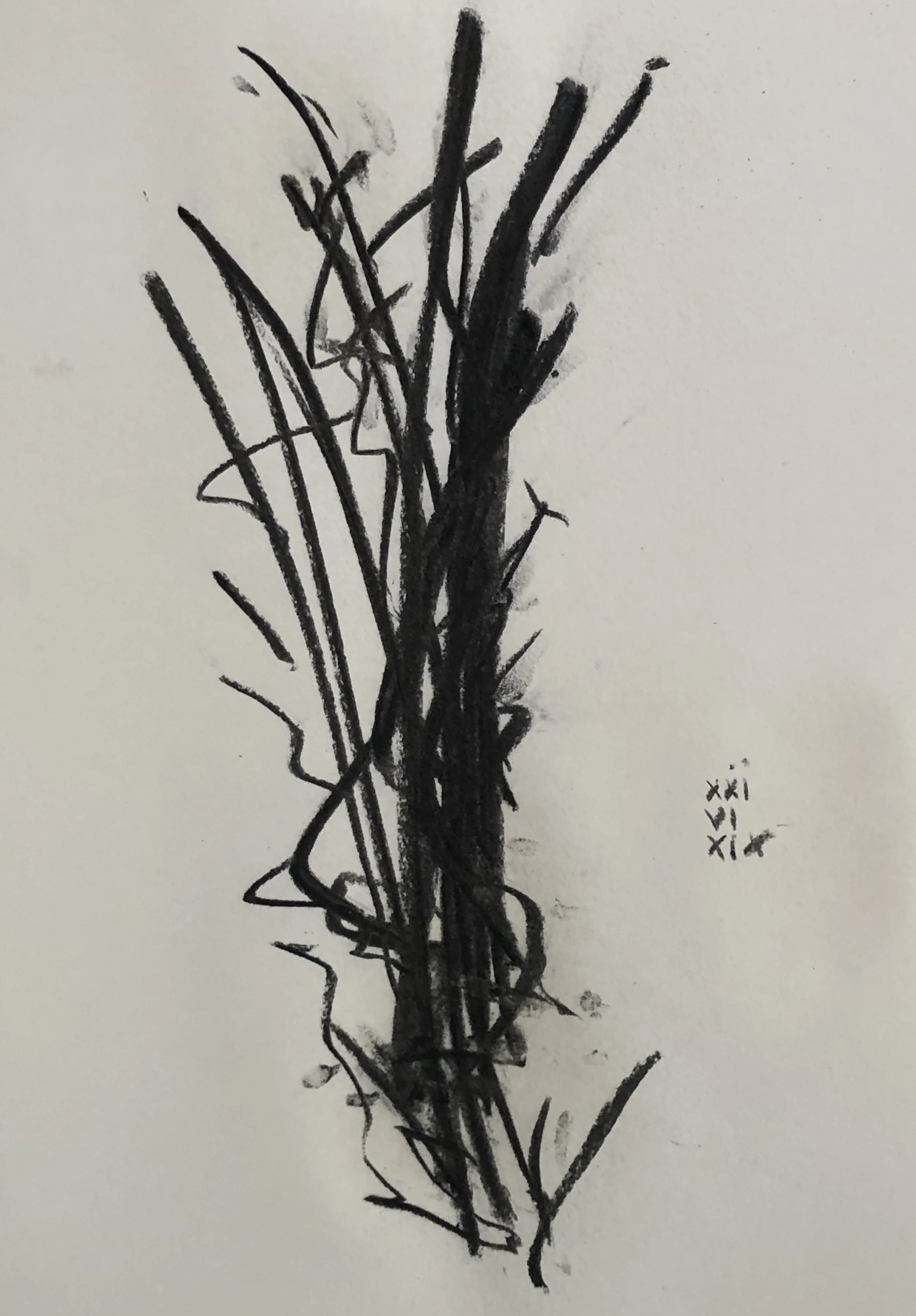21.06.2019