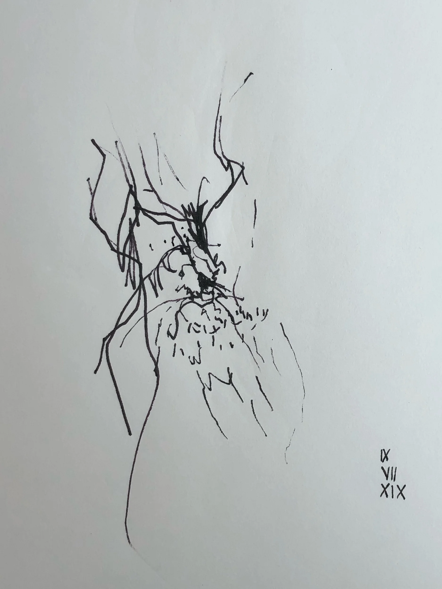 09.07.2019