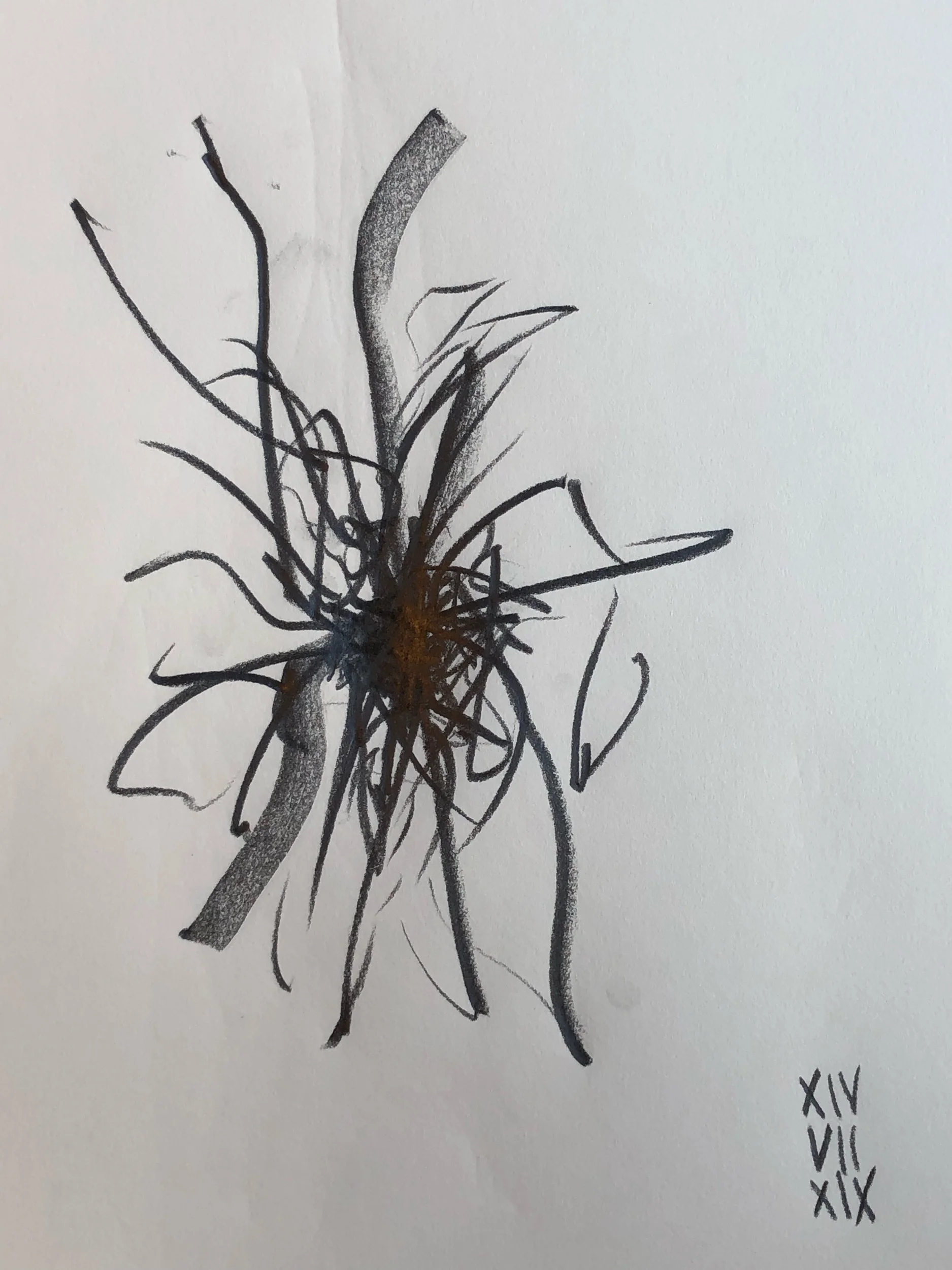 14.07.2019