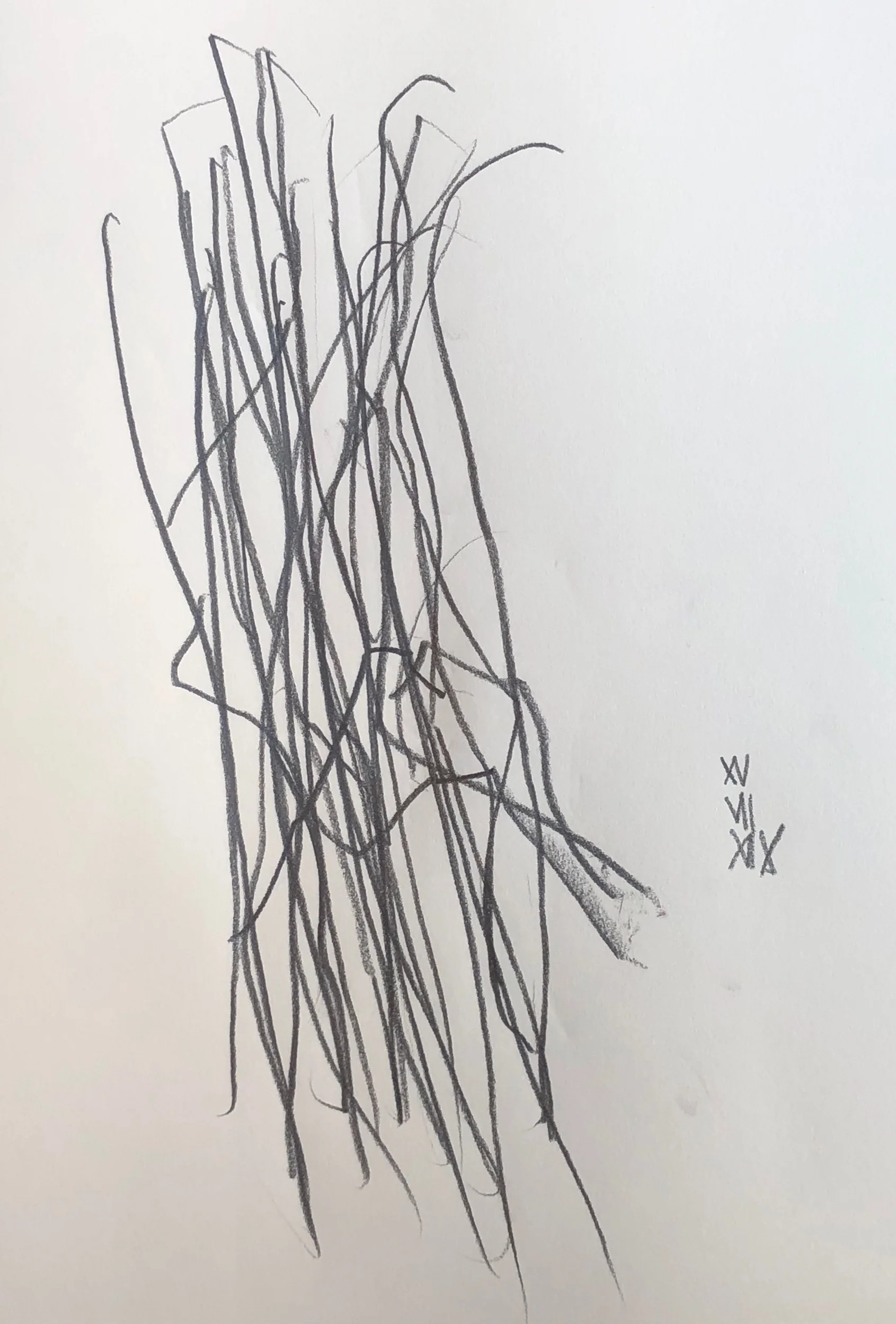 15.07.2019