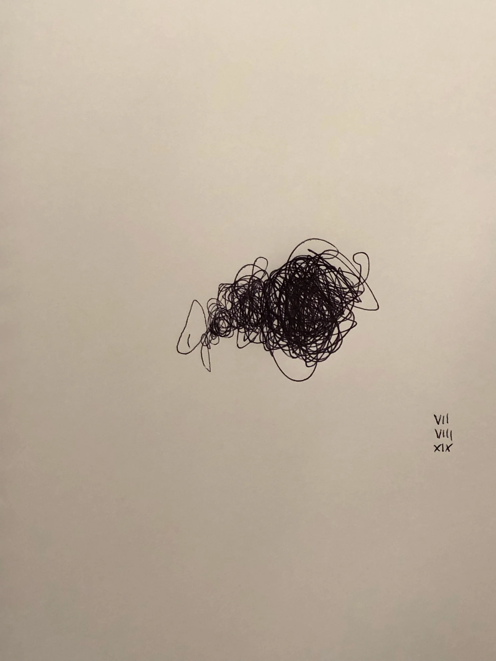 IMG_5129.jpeg