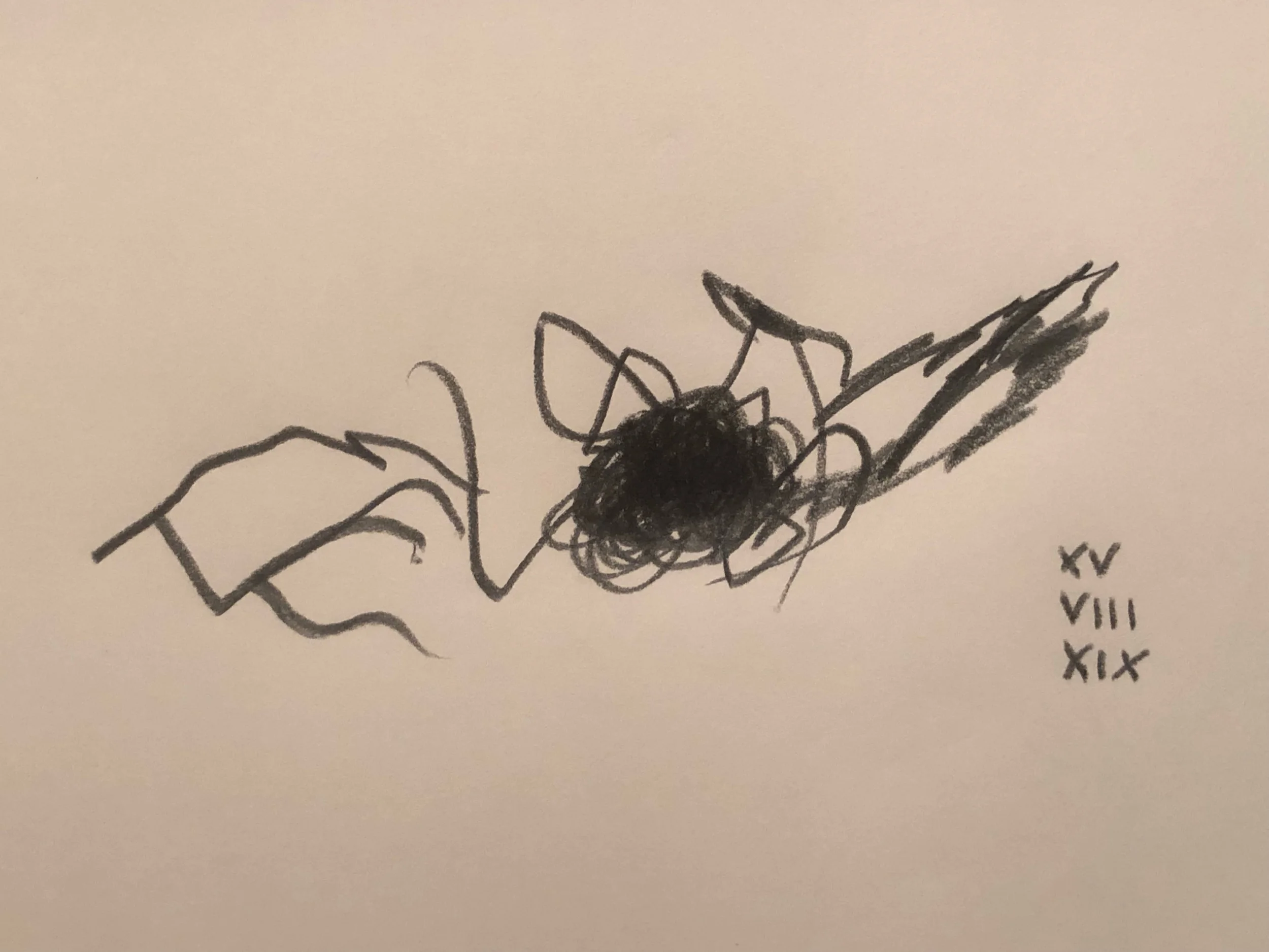 15.08.2019