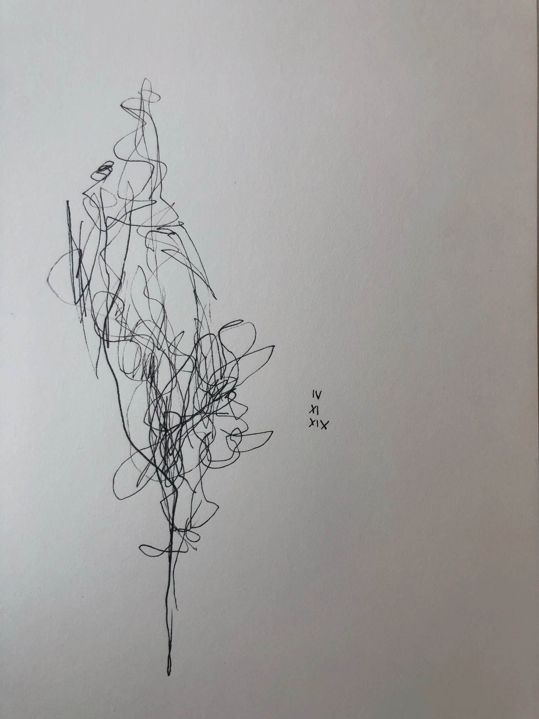 04.11.2019