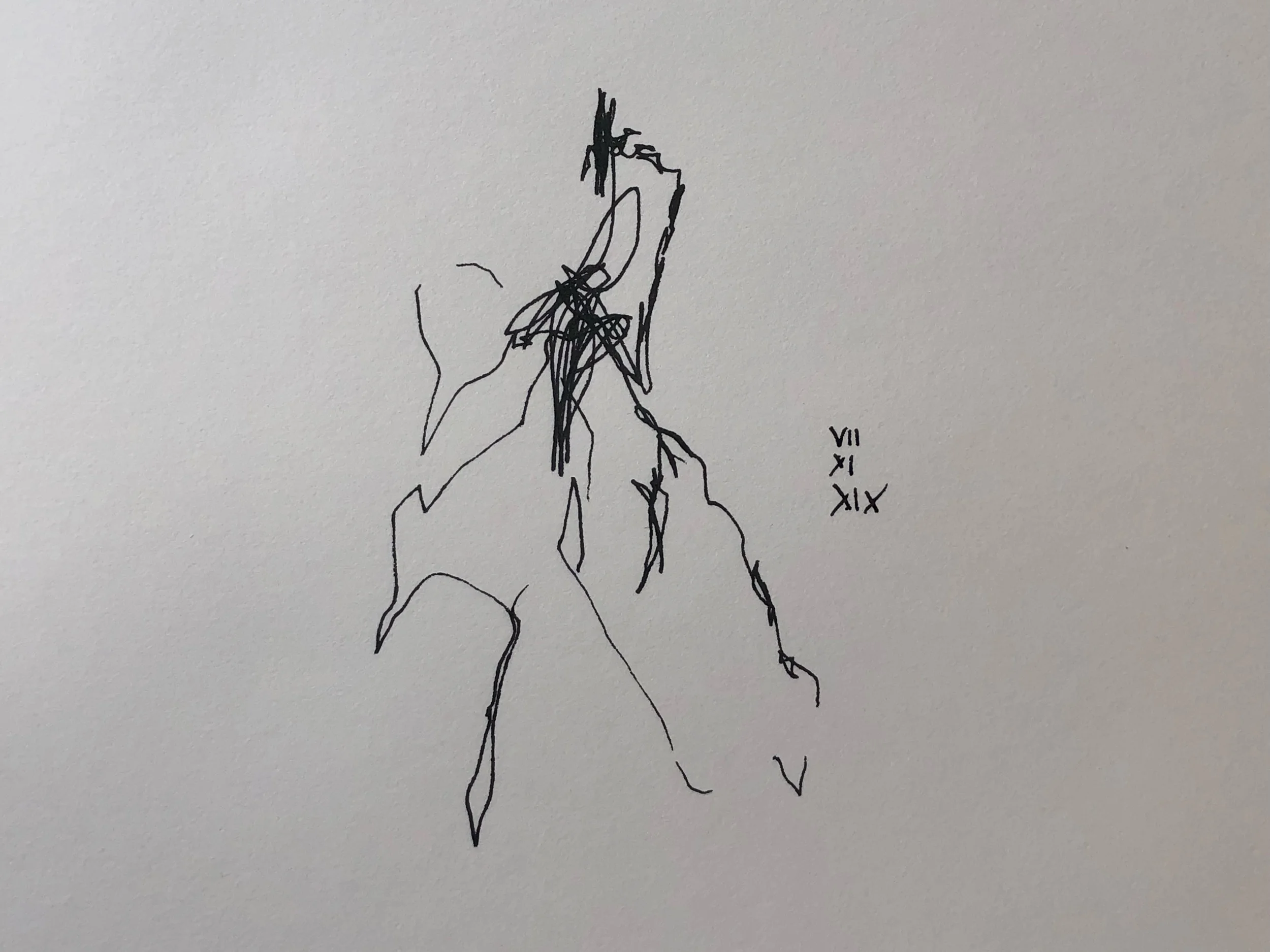 07.11.2019