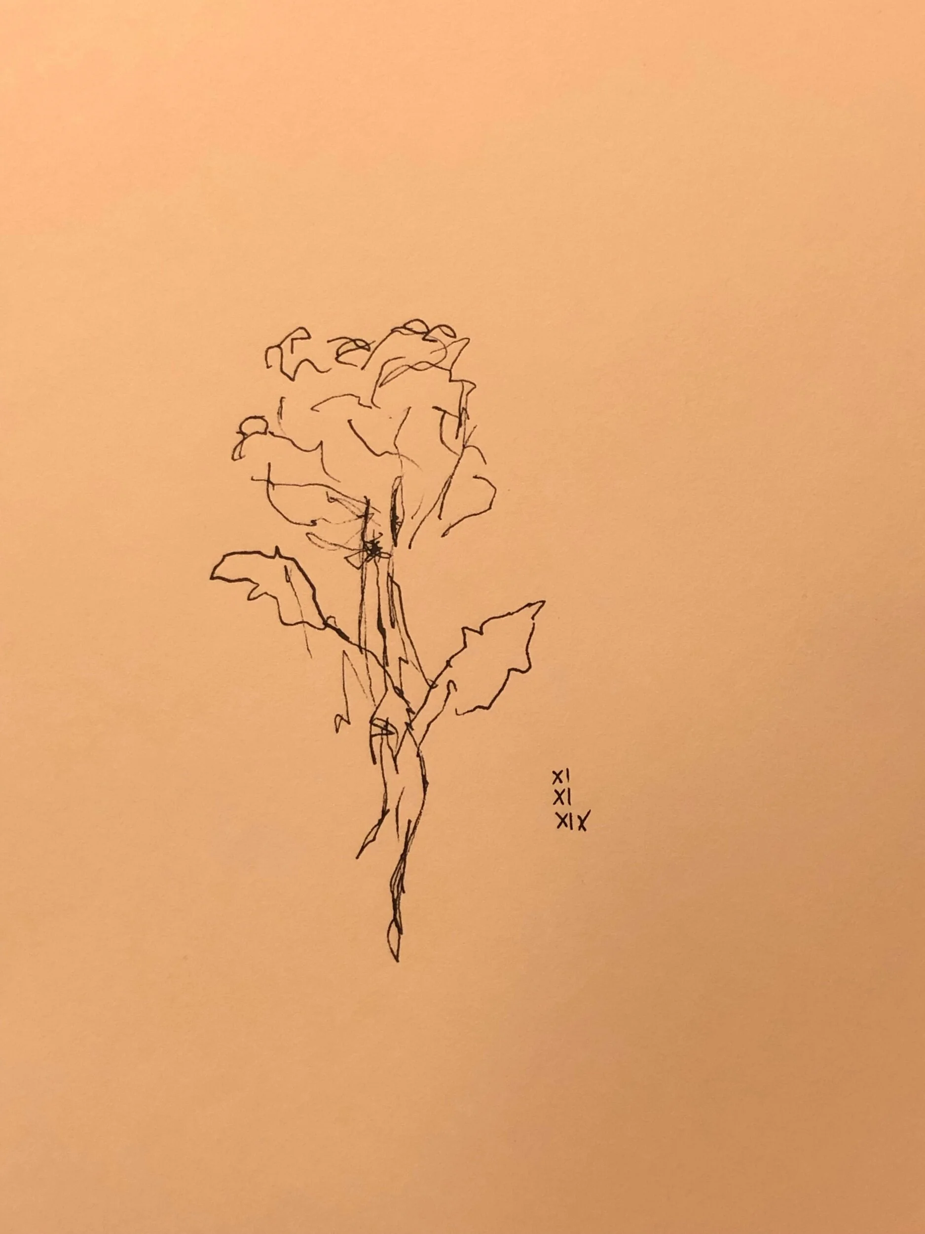 11.11.2019