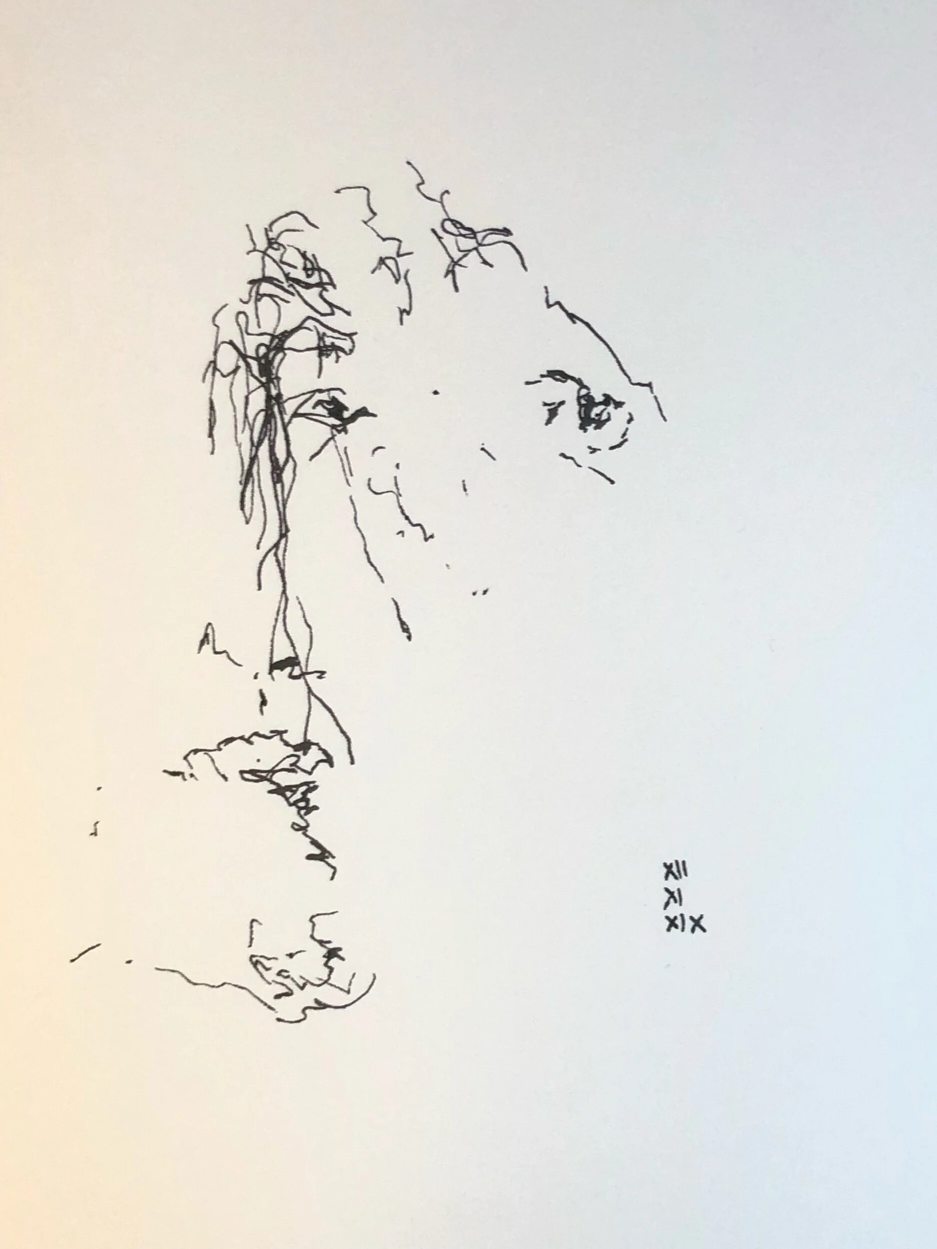 12.11.2019