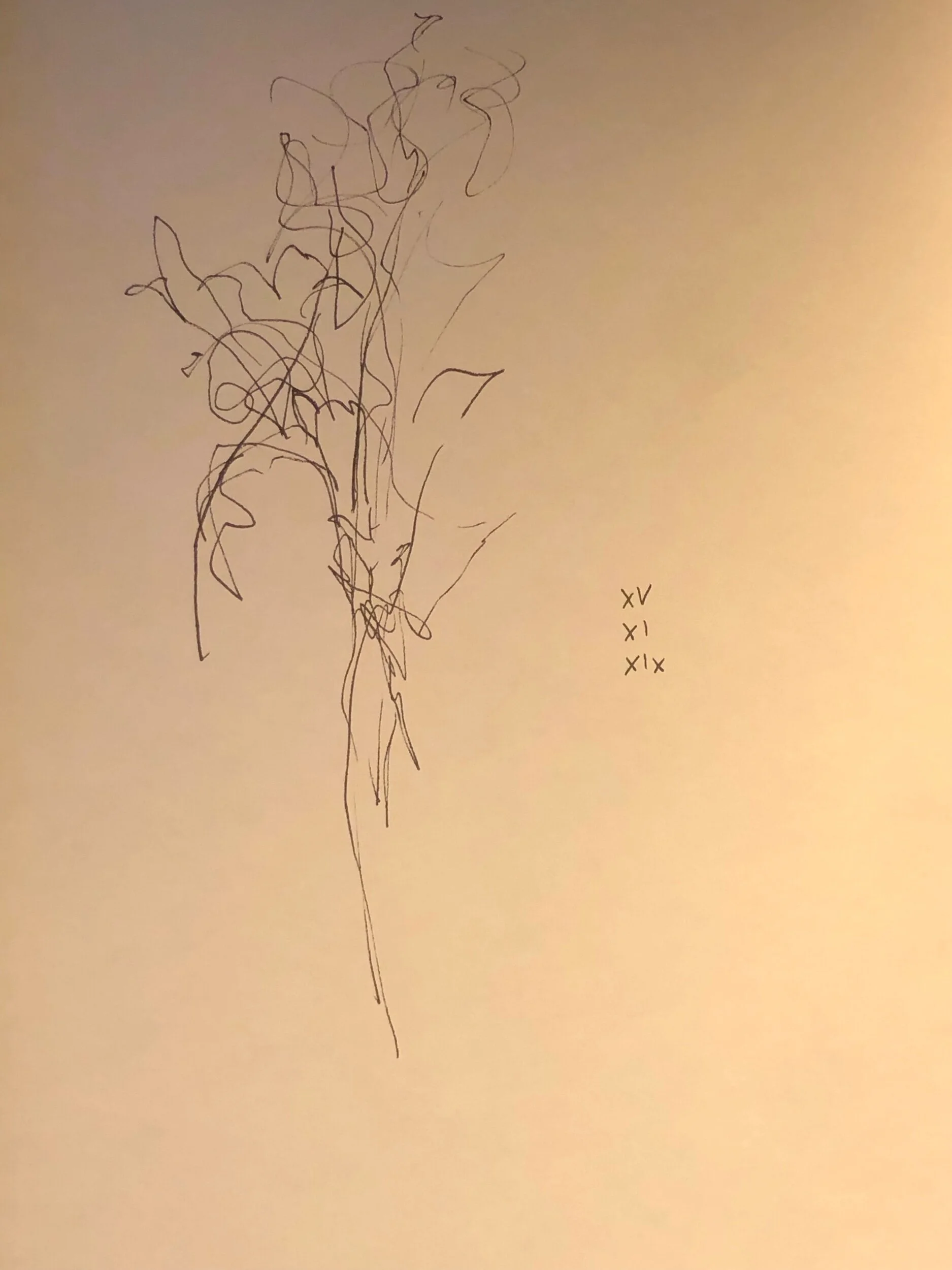 15.11.2019