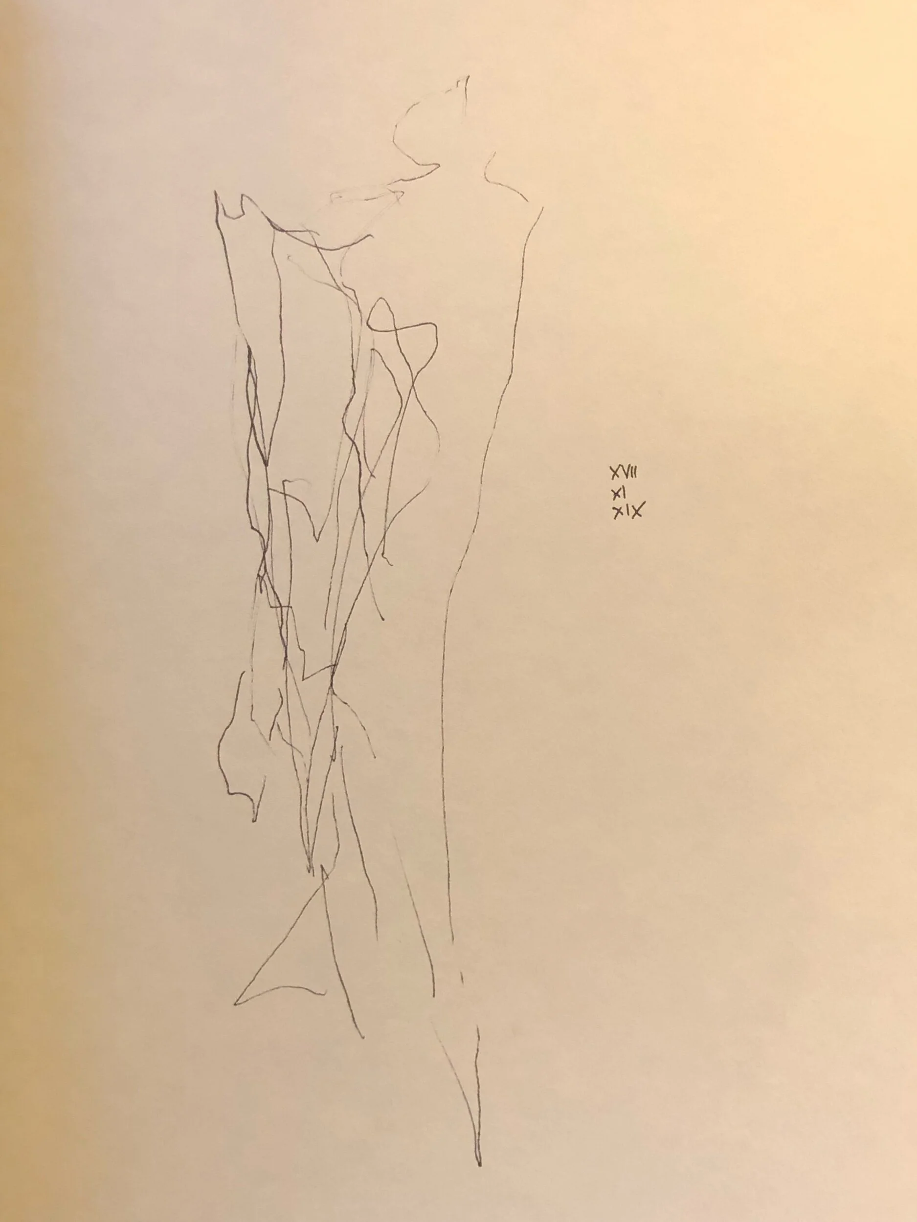 17.11.2019